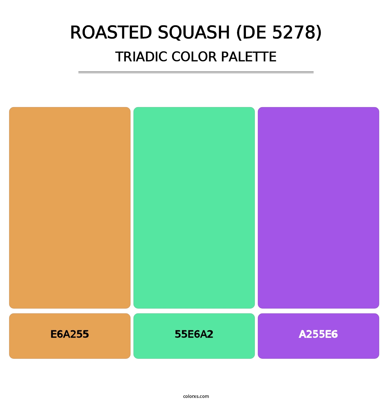 Roasted Squash (DE 5278) - Triadic Color Palette