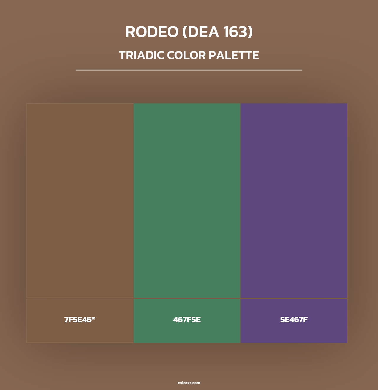 Rodeo (DEA 163) - Triadic Color Palette