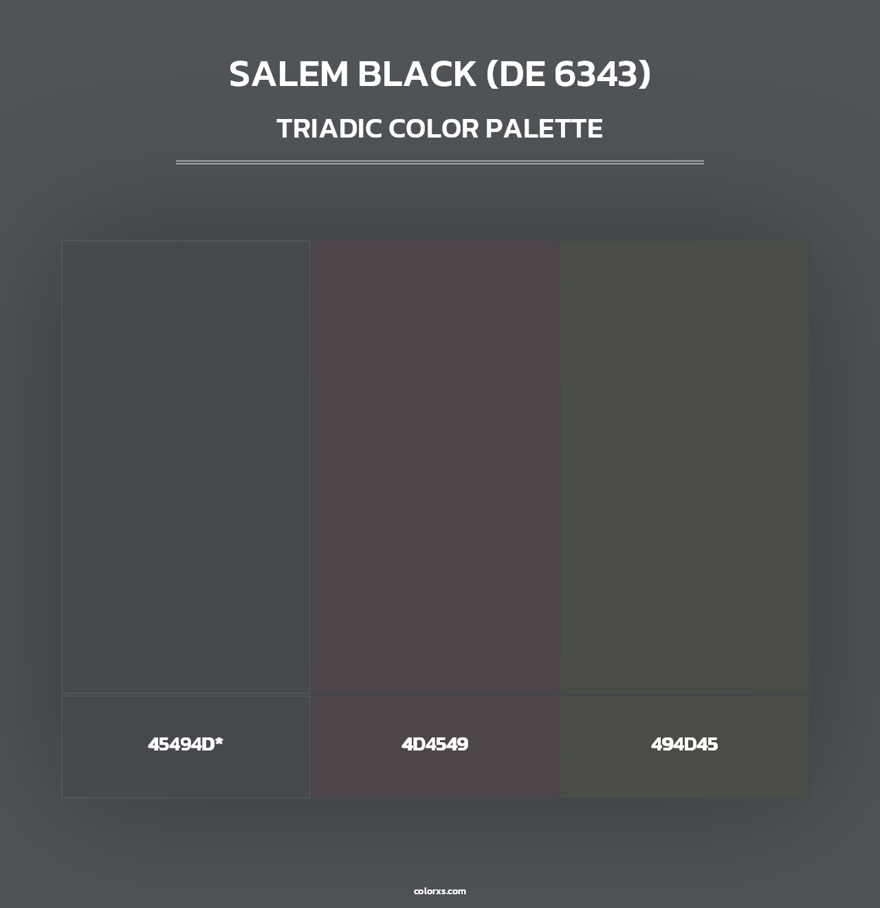 Salem Black (DE 6343) - Triadic Color Palette