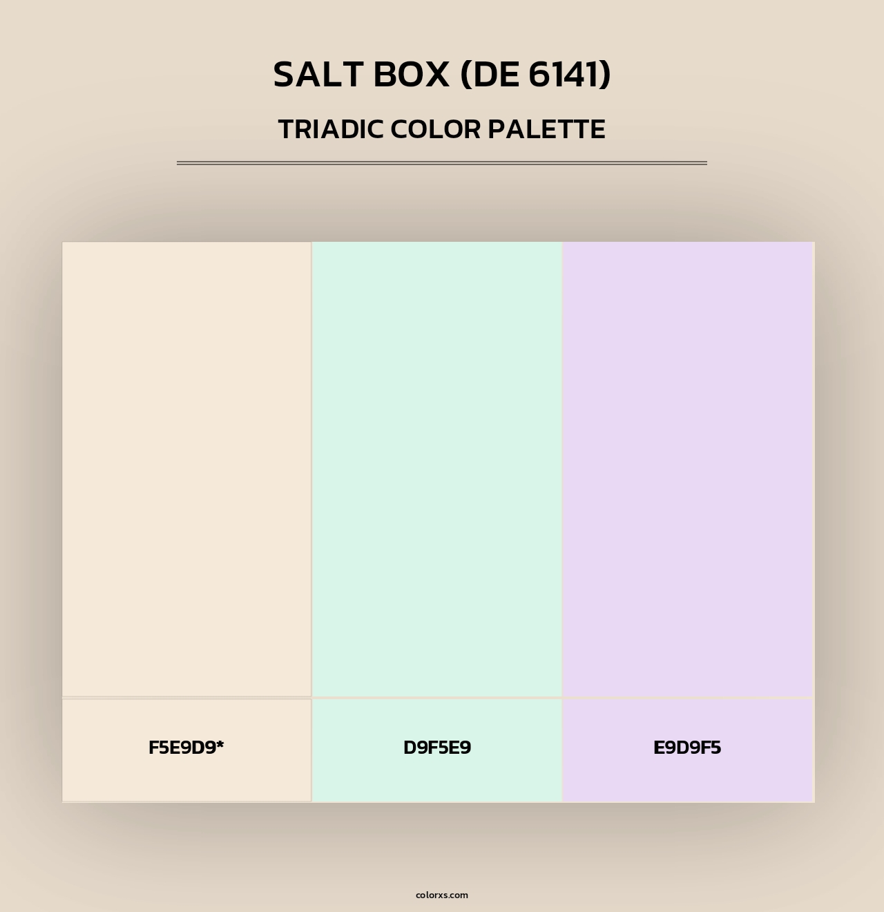 Salt Box (DE 6141) - Triadic Color Palette