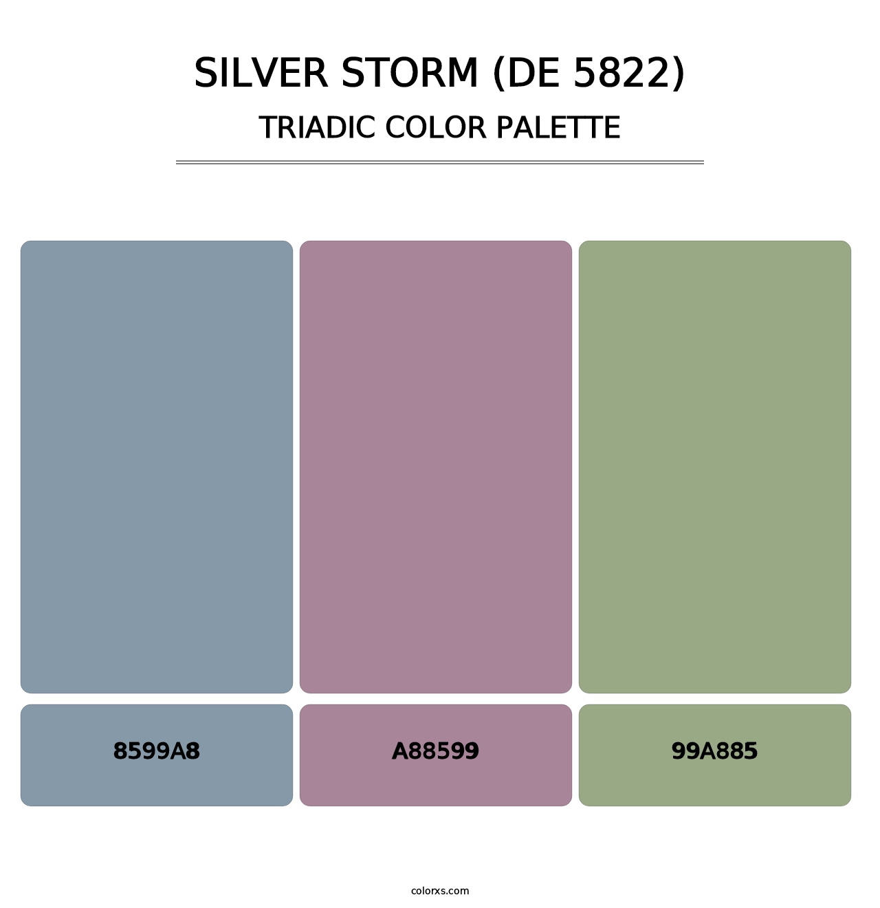 Silver Storm (DE 5822) - Triadic Color Palette