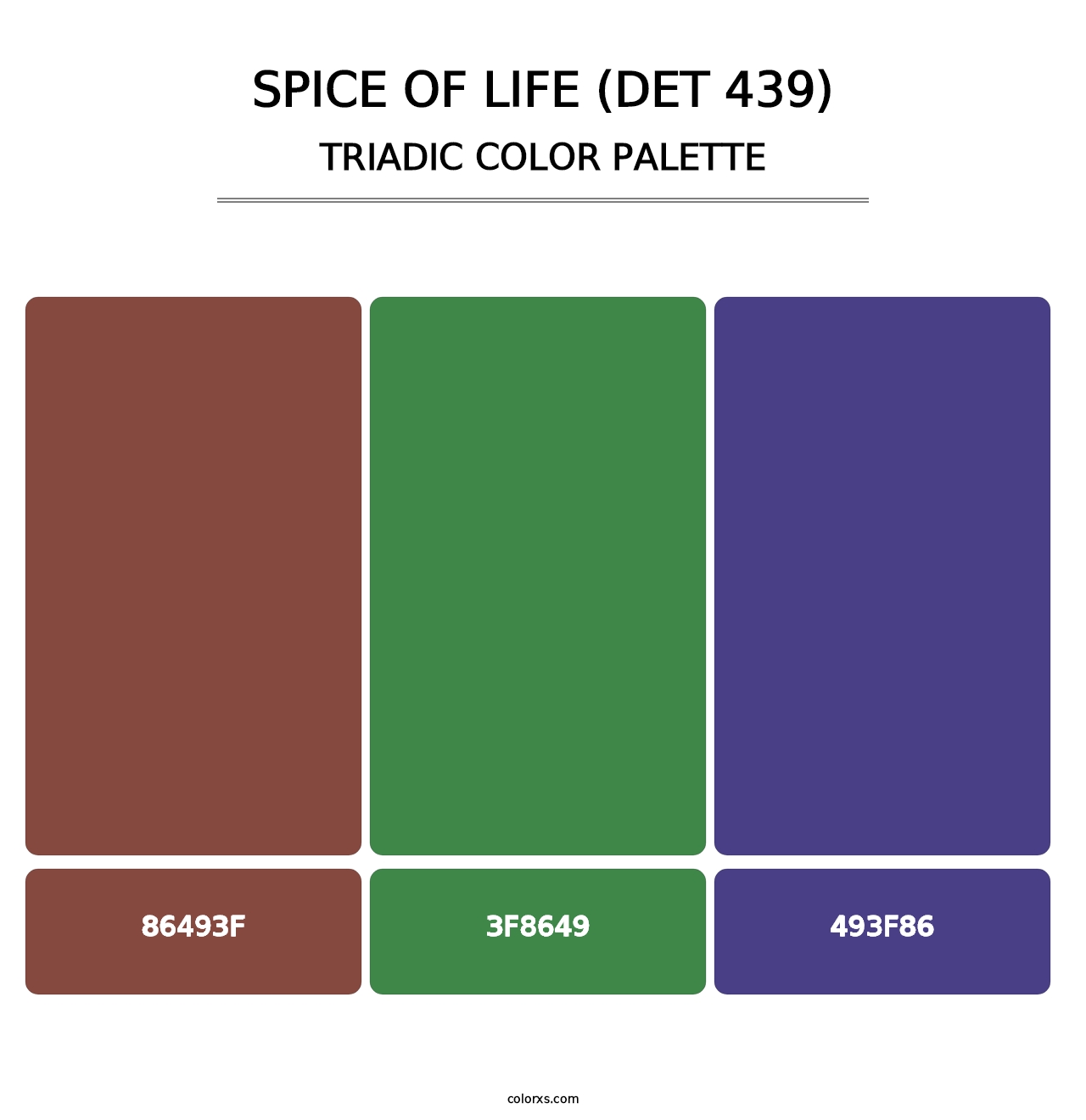 Spice of Life (DET 439) - Triadic Color Palette