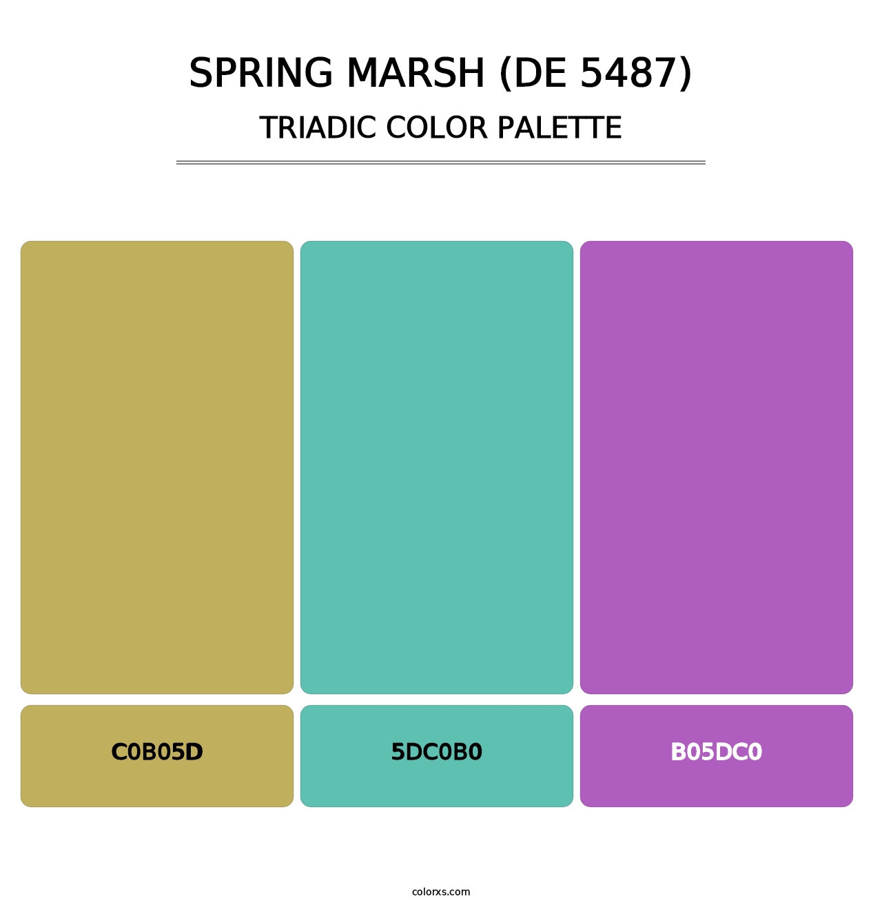 Spring Marsh (DE 5487) - Triadic Color Palette