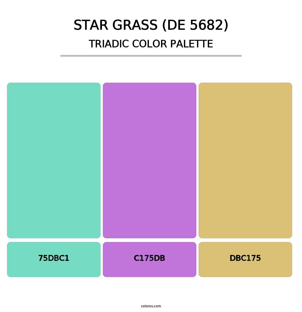 Star Grass (DE 5682) - Triadic Color Palette