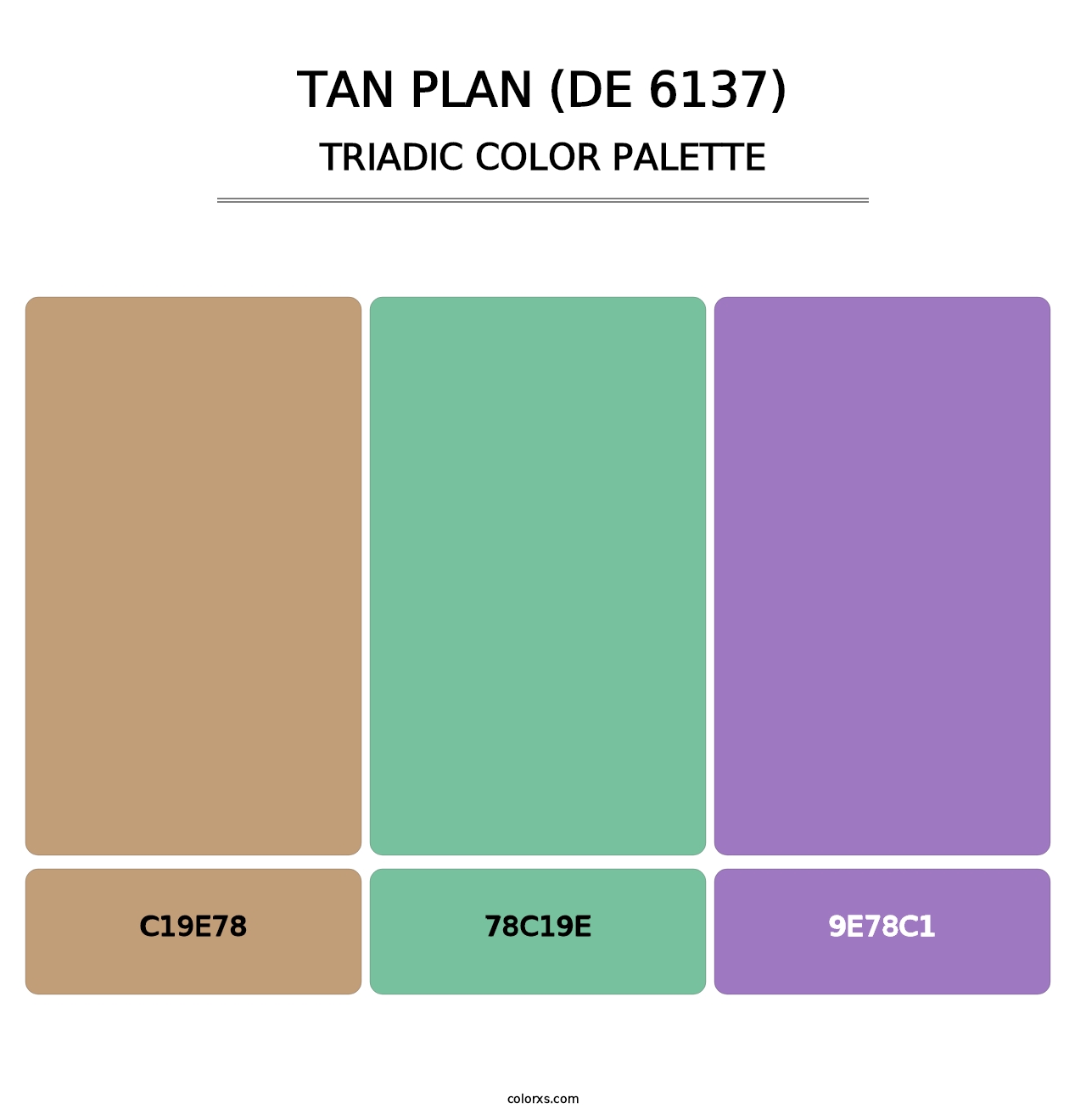 Tan Plan (DE 6137) - Triadic Color Palette