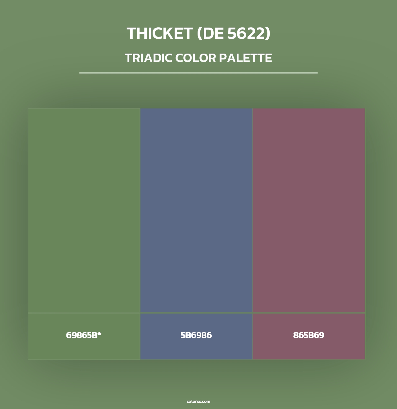 Thicket (DE 5622) - Triadic Color Palette