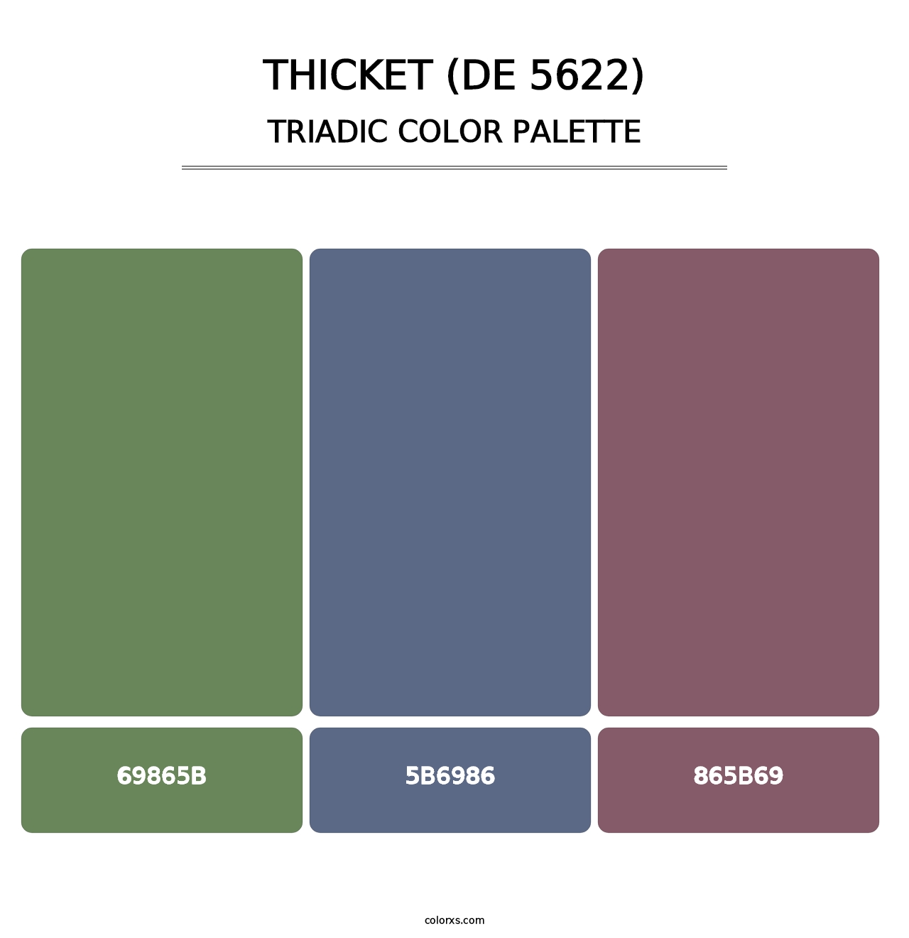 Thicket (DE 5622) - Triadic Color Palette