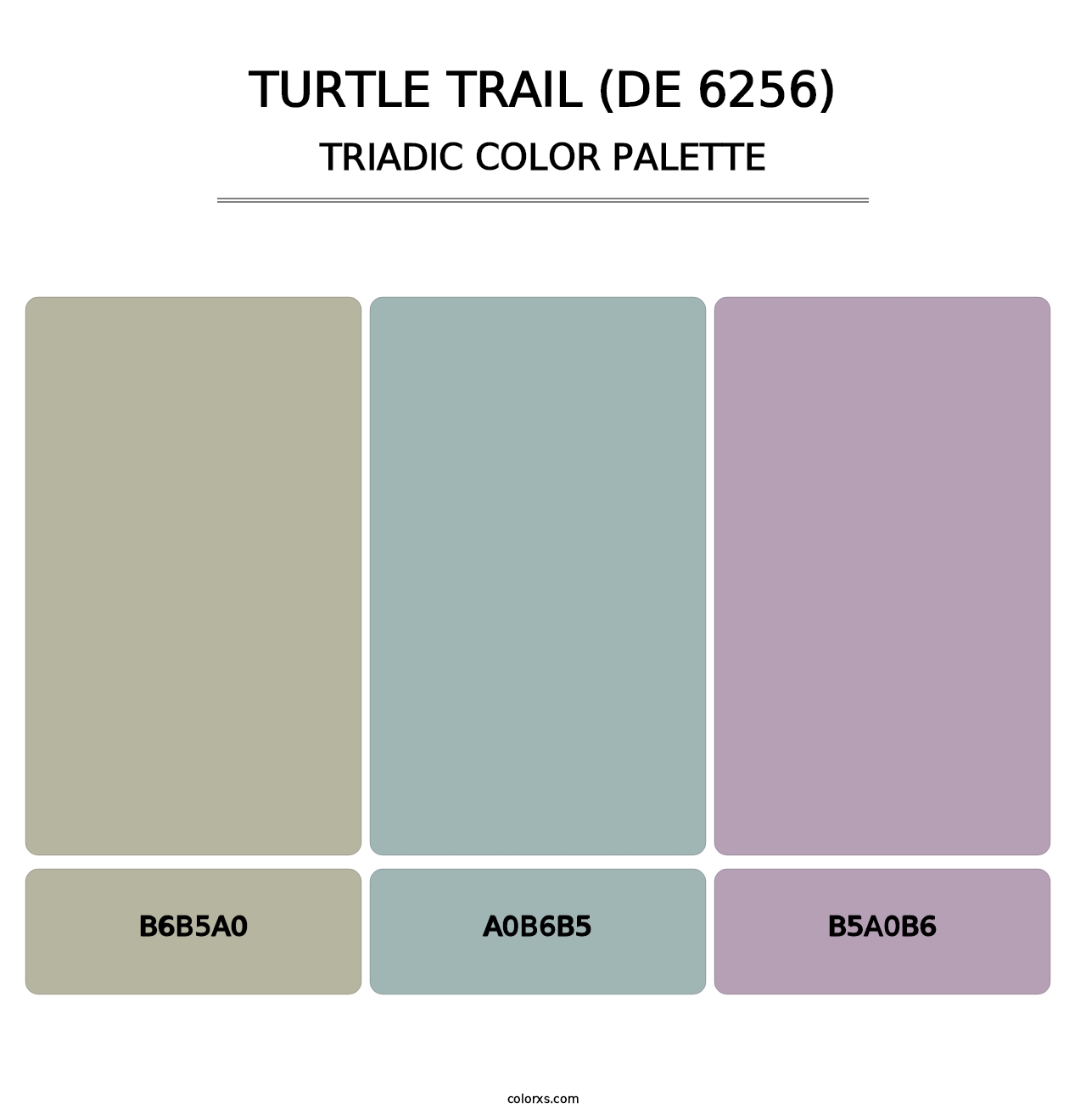 Turtle Trail (DE 6256) - Triadic Color Palette