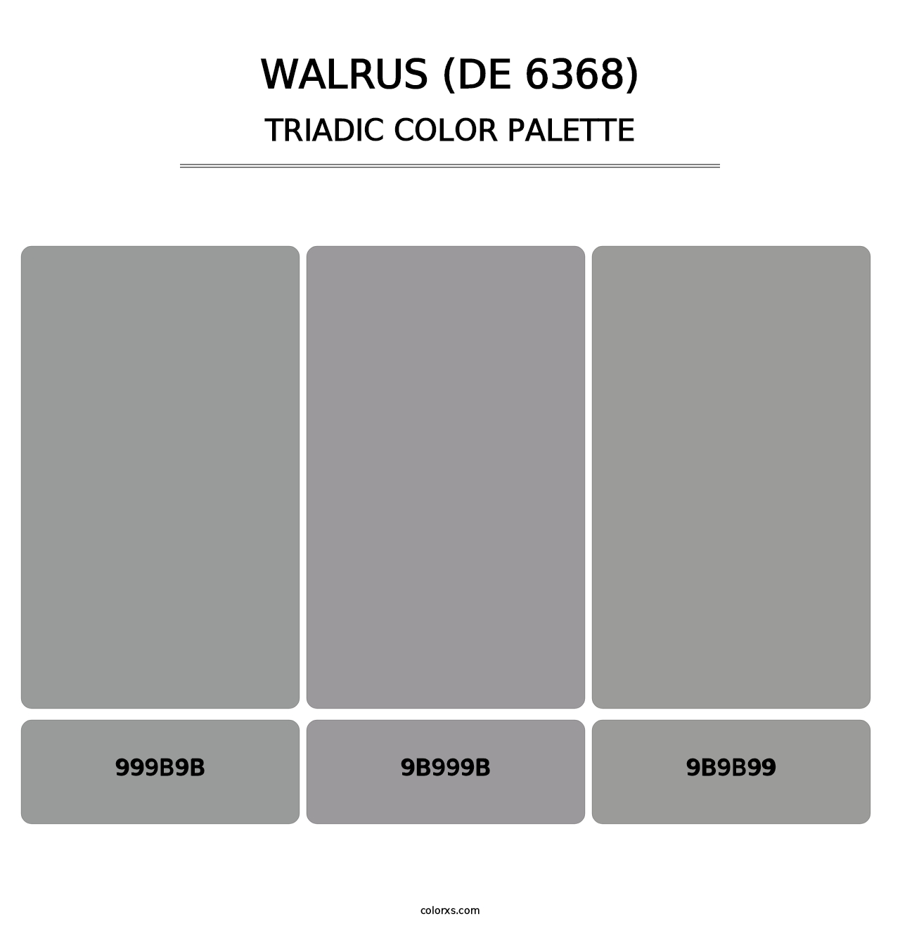 Walrus (DE 6368) - Triadic Color Palette