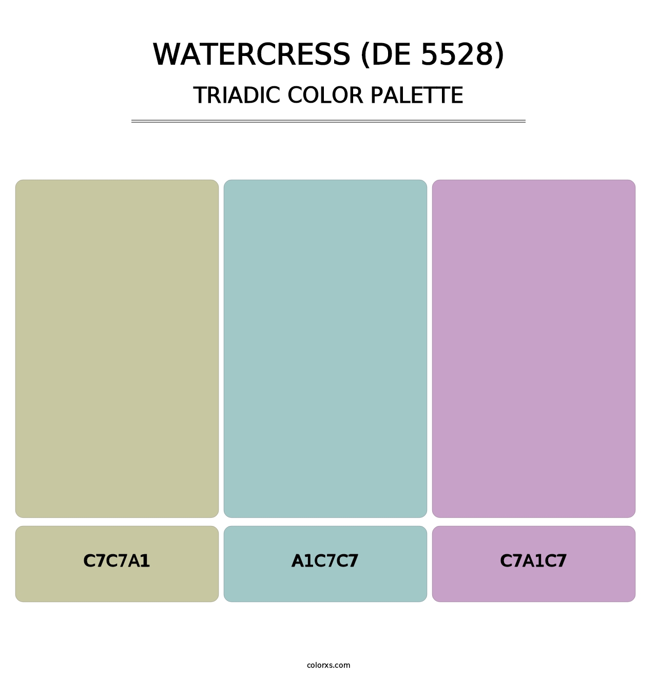 Watercress (DE 5528) - Triadic Color Palette