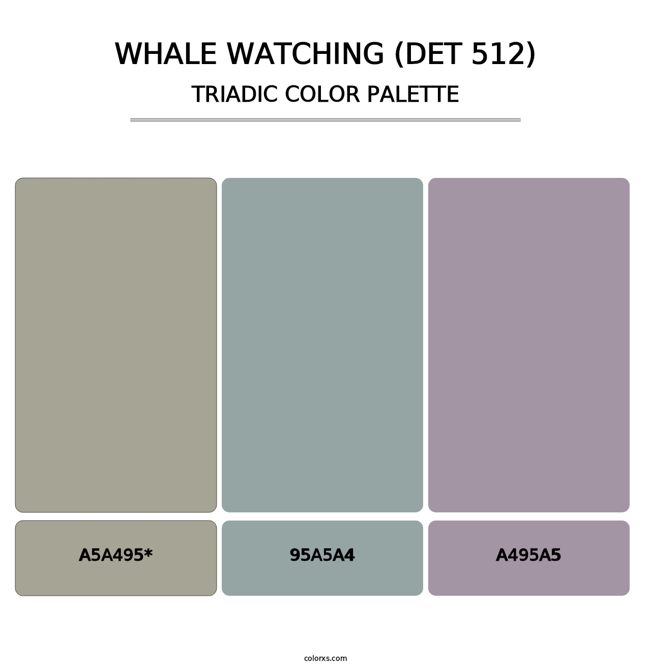 Whale Watching (DET 512) - Triadic Color Palette