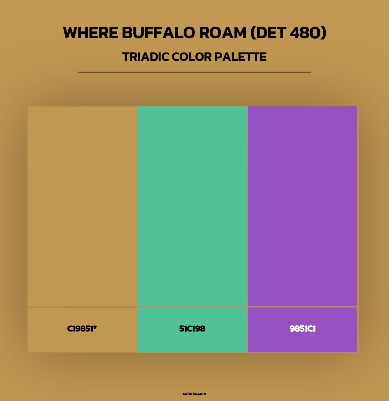 Where Buffalo Roam (DET 480) - Triadic Color Palette