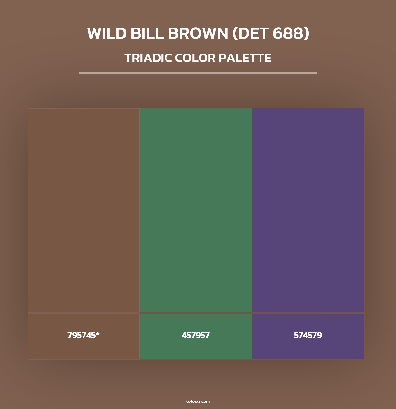 Wild Bill Brown (DET 688) - Triadic Color Palette
