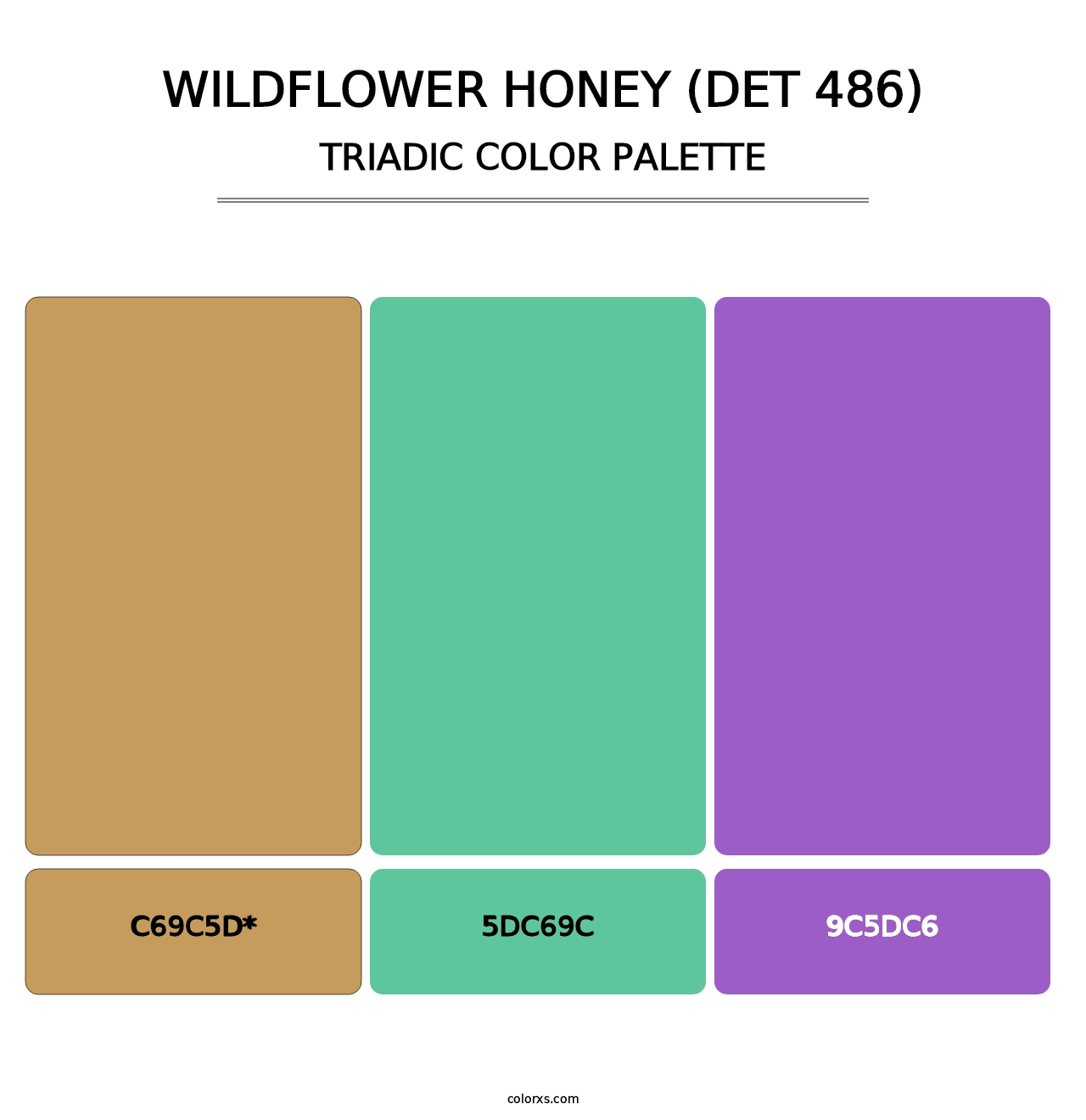 Wildflower Honey (DET 486) - Triadic Color Palette