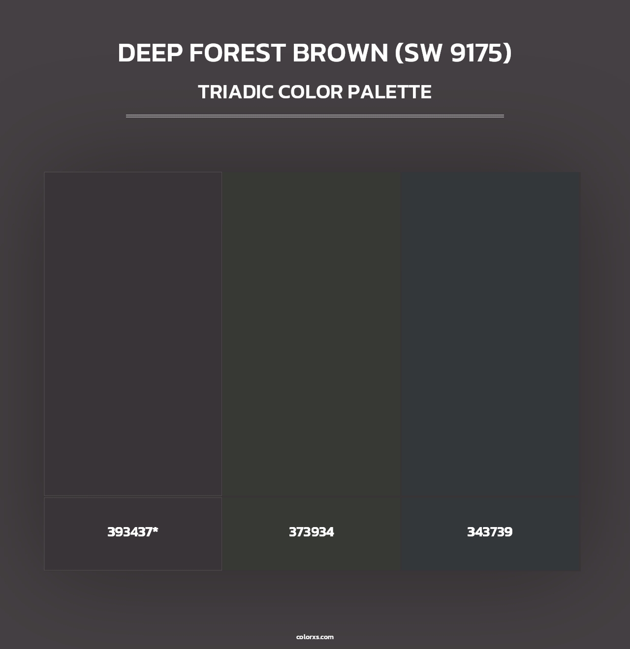 Deep Forest Brown (SW 9175) - Triadic Color Palette
