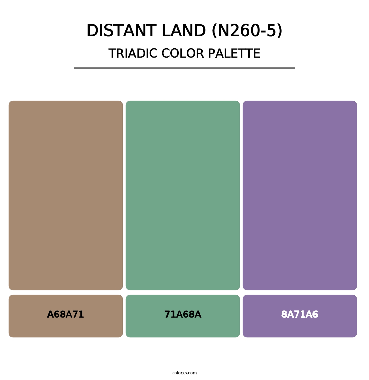 Distant Land (N260-5) - Triadic Color Palette