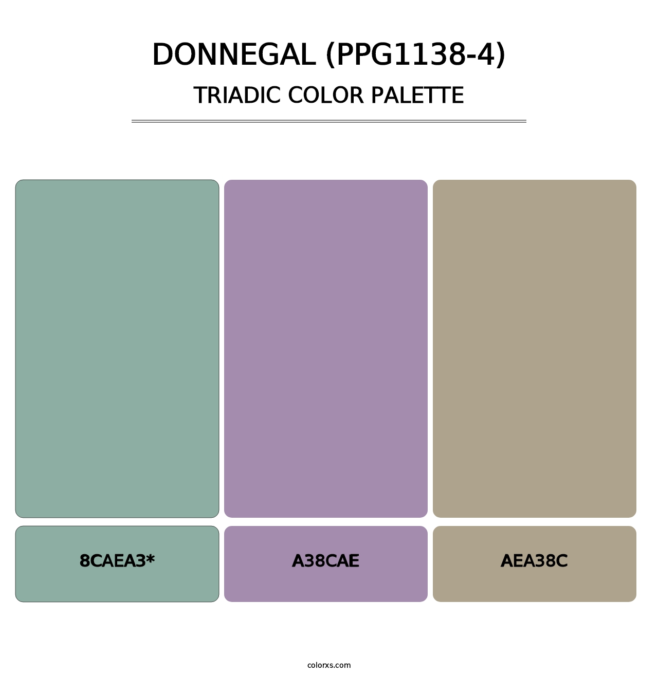 Donnegal (PPG1138-4) - Triadic Color Palette