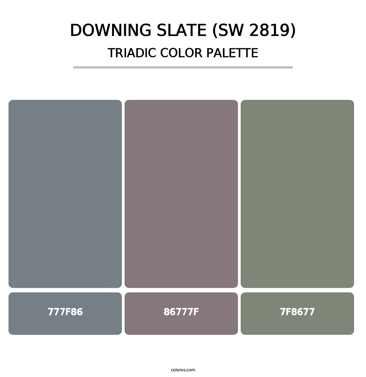 Downing Slate (SW 2819) - Triadic Color Palette