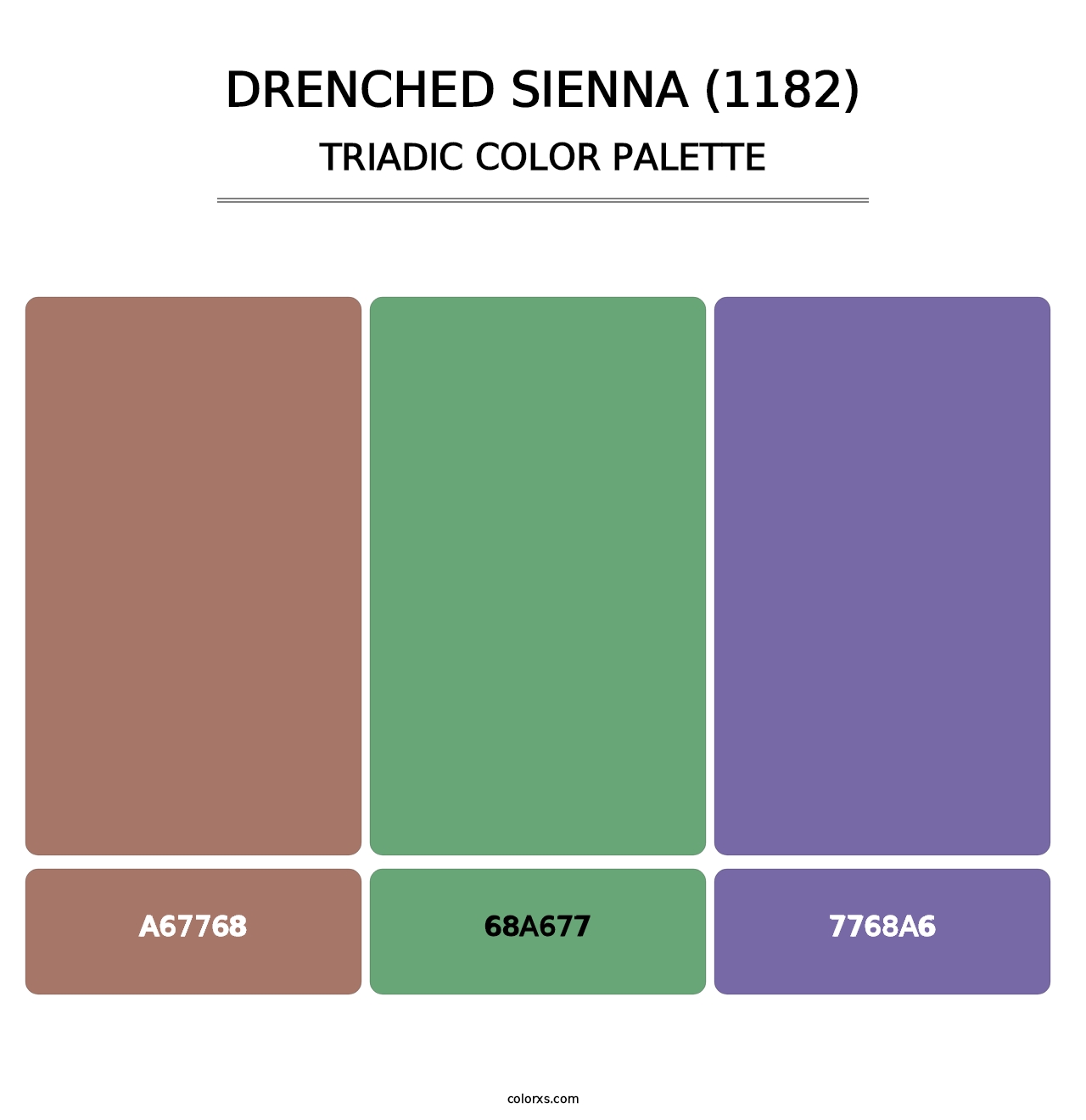 Drenched Sienna (1182) - Triadic Color Palette