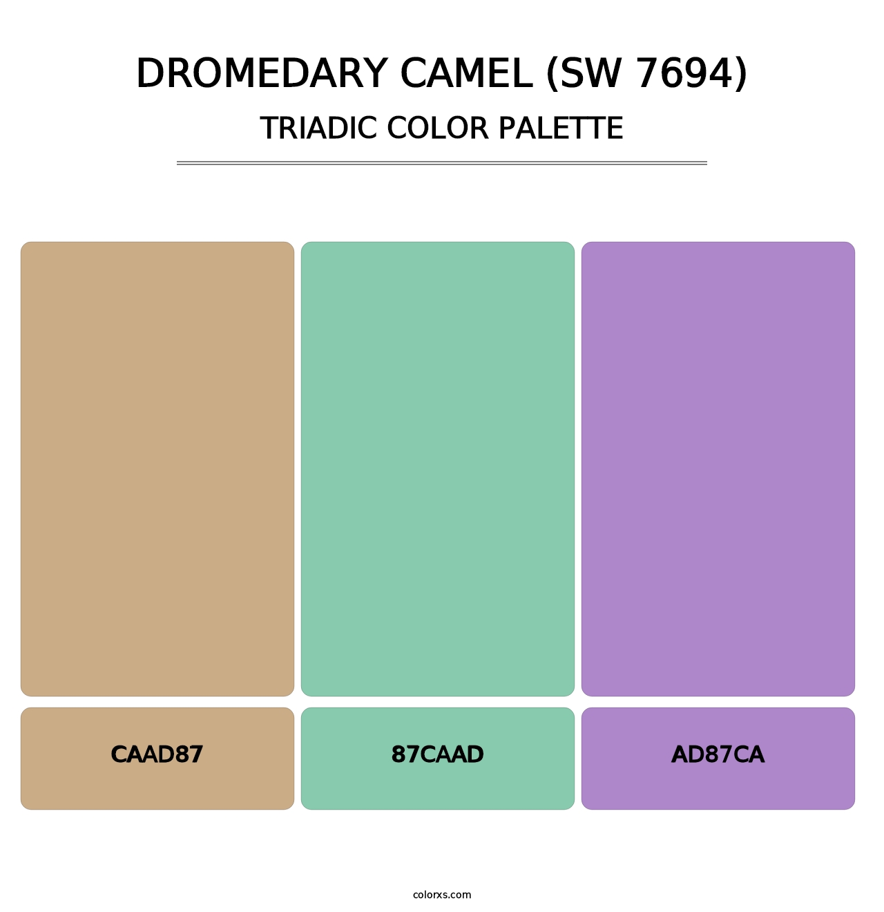 Dromedary Camel (SW 7694) - Triadic Color Palette