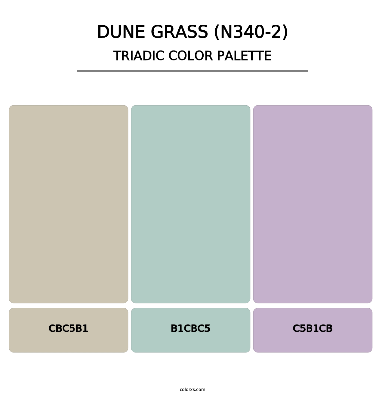Dune Grass (N340-2) - Triadic Color Palette