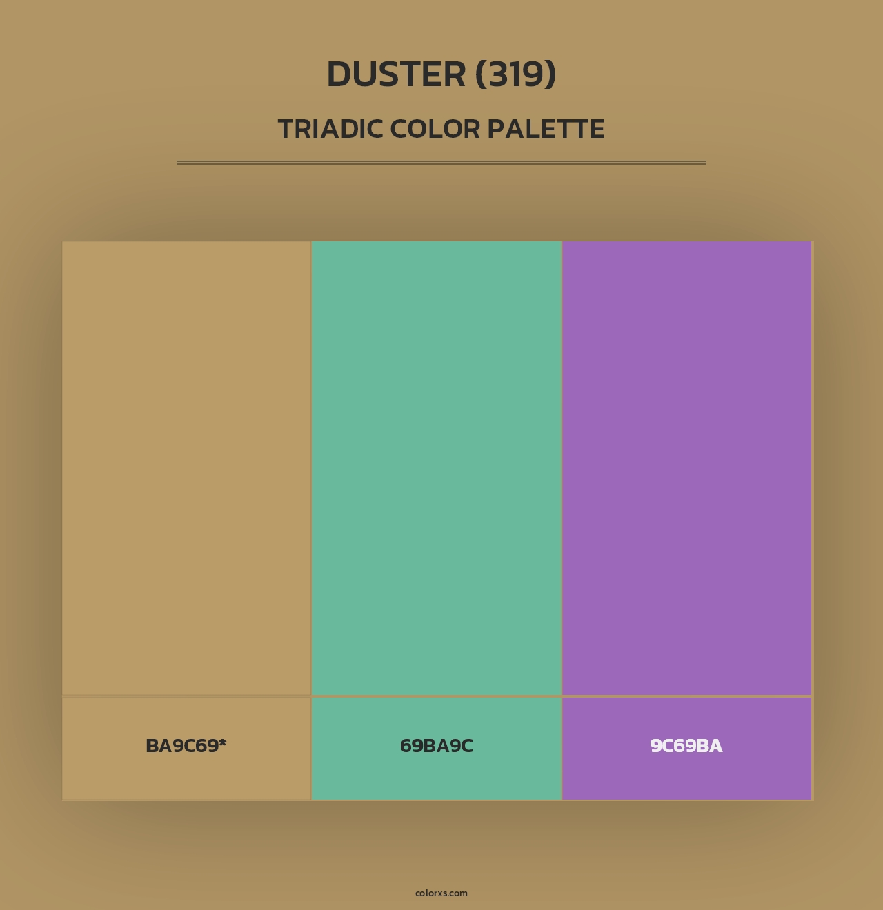 Duster (319) - Triadic Color Palette