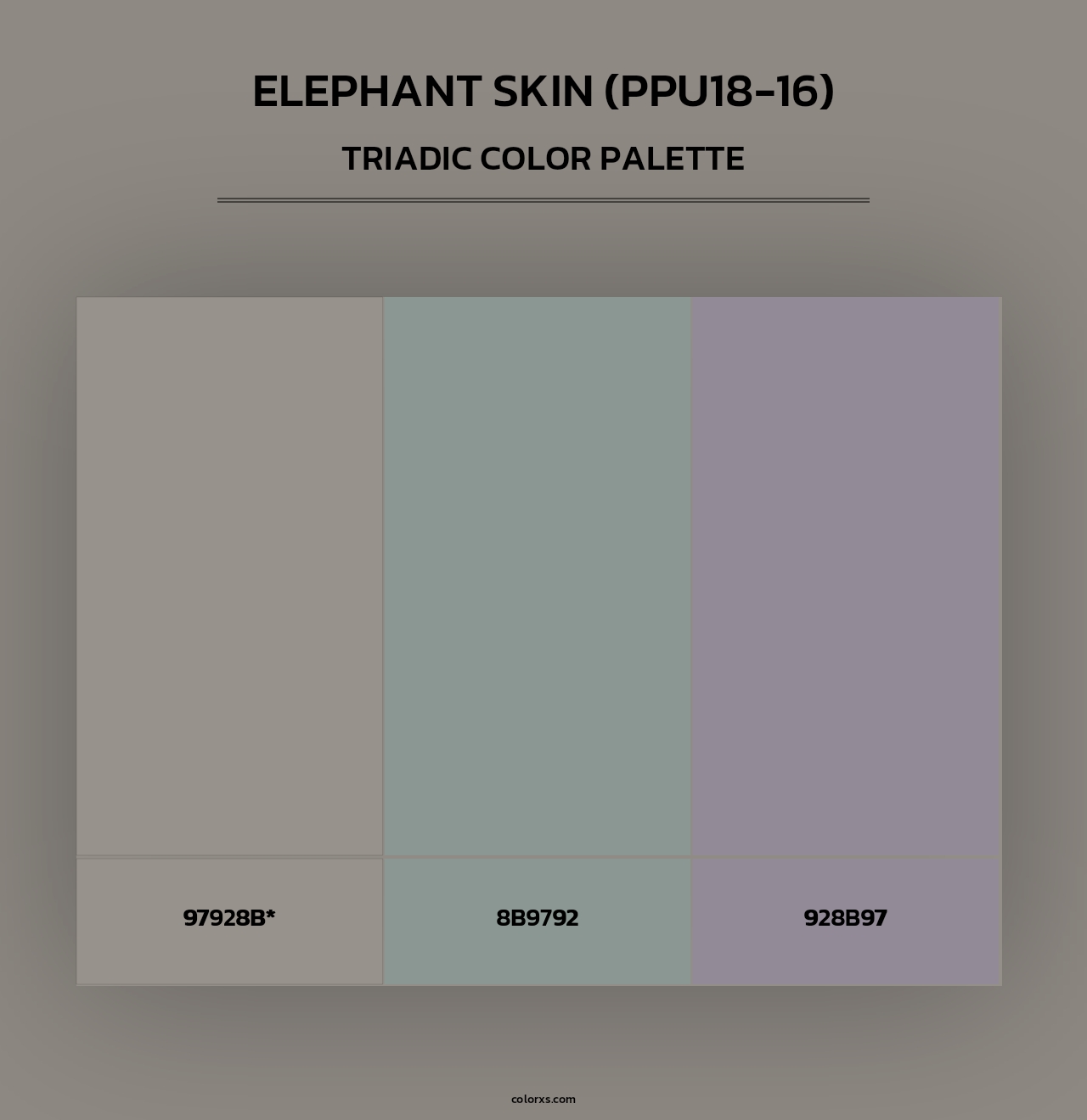 Elephant Skin (PPU18-16) - Triadic Color Palette