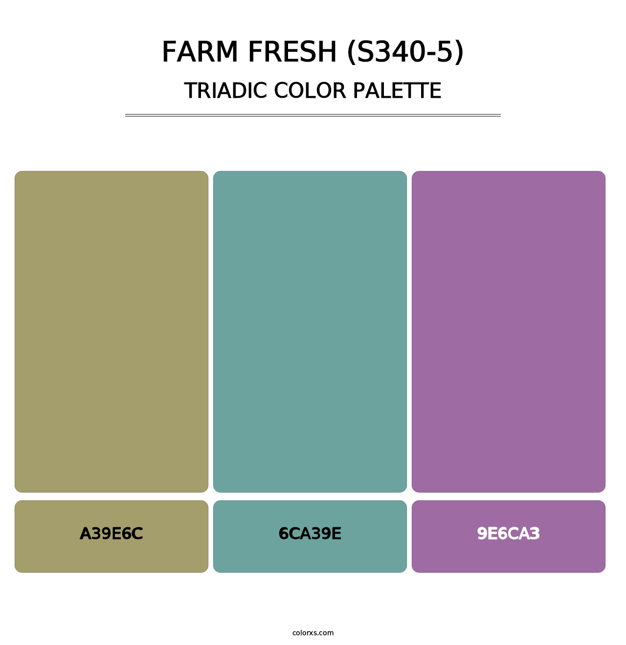 Farm Fresh (S340-5) - Triadic Color Palette