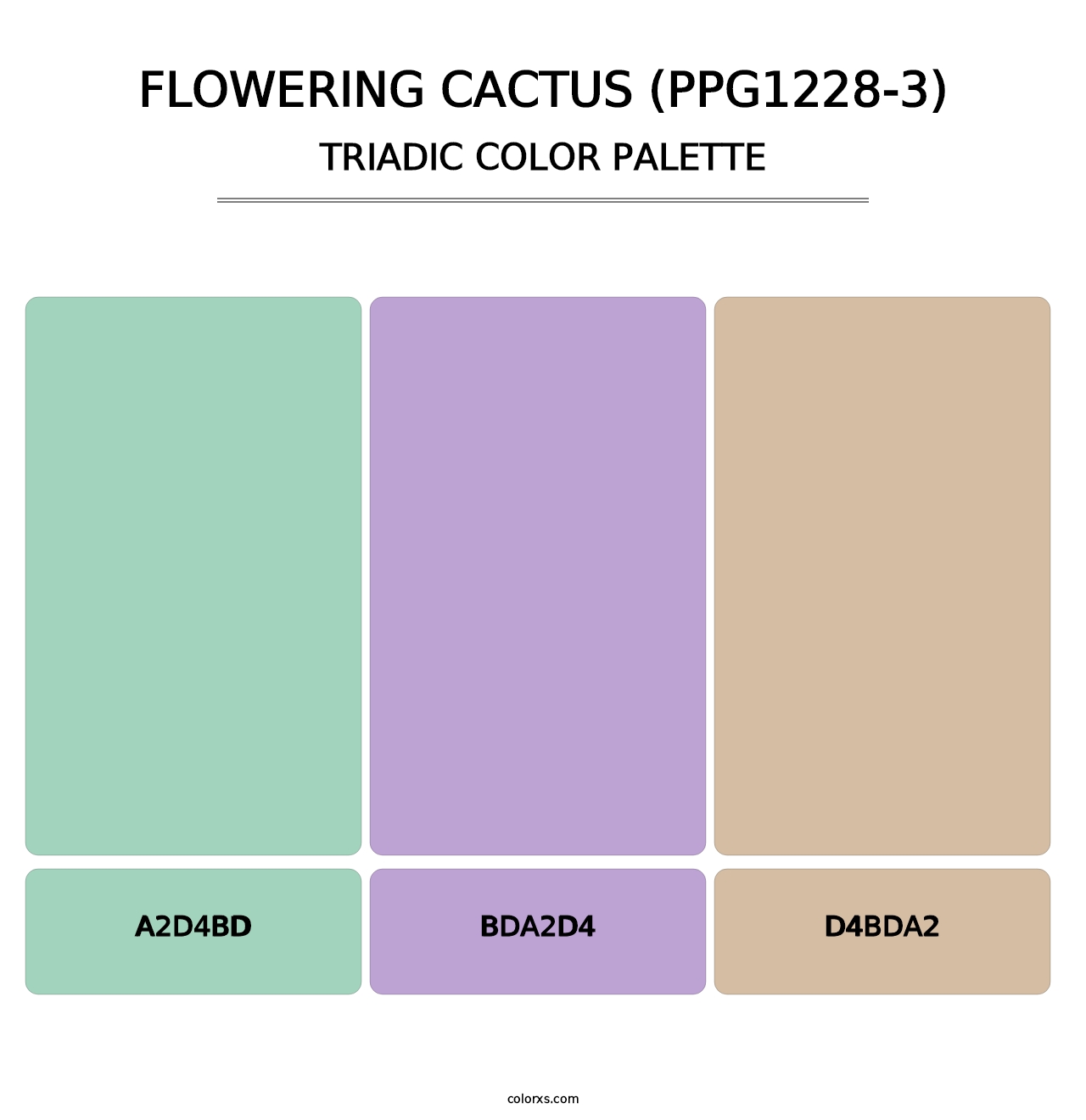 Flowering Cactus (PPG1228-3) - Triadic Color Palette