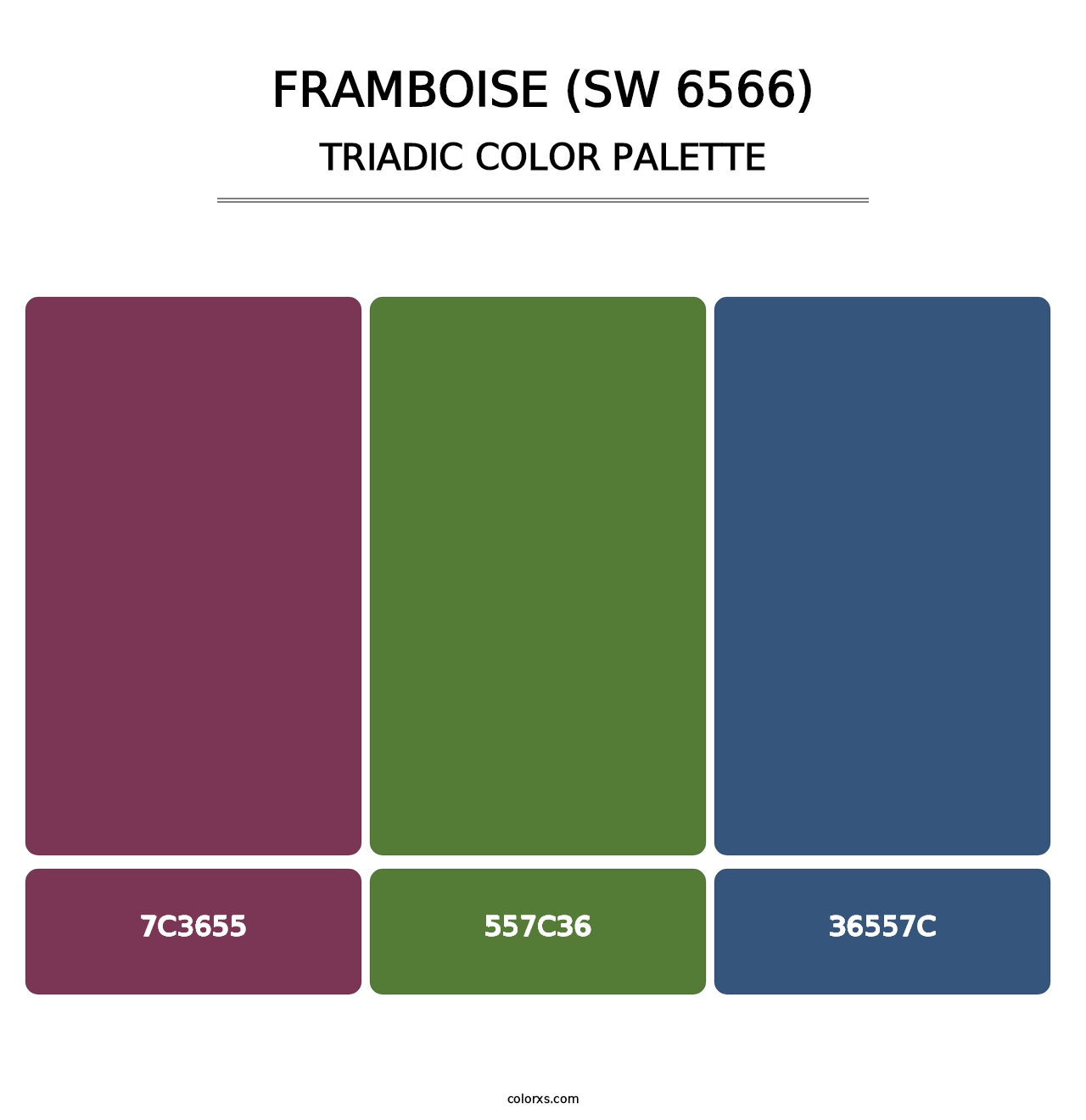 Framboise (SW 6566) - Triadic Color Palette
