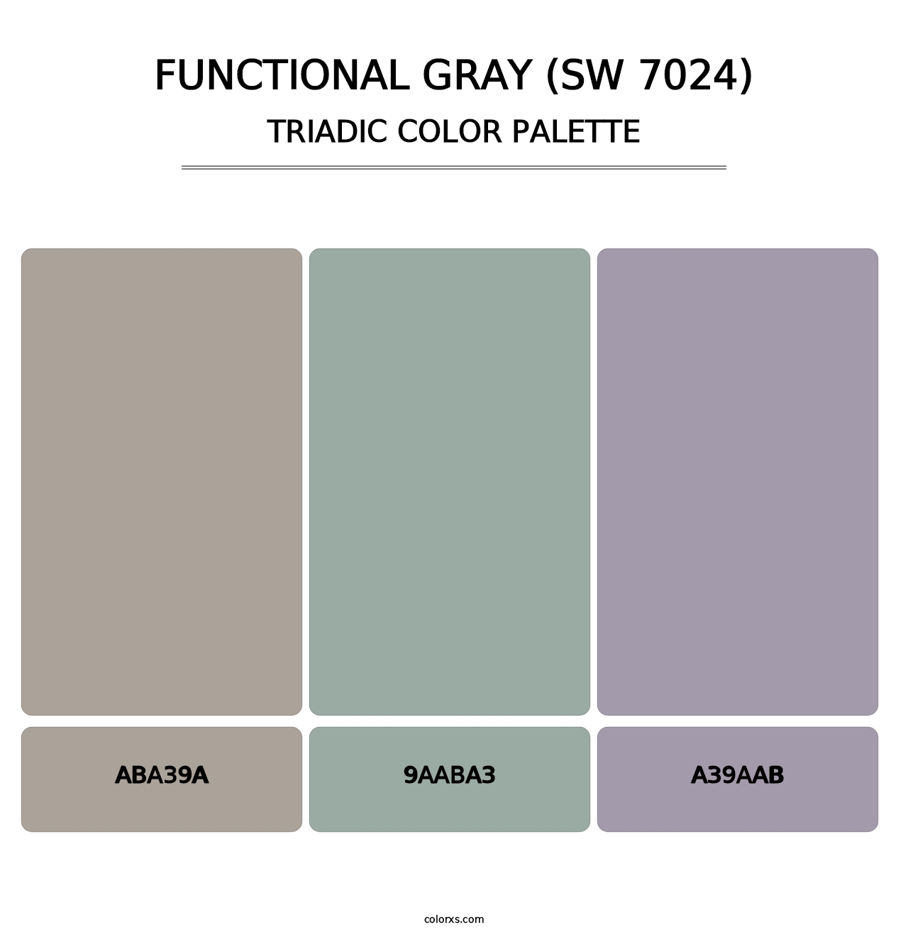 Functional Gray (SW 7024) - Triadic Color Palette