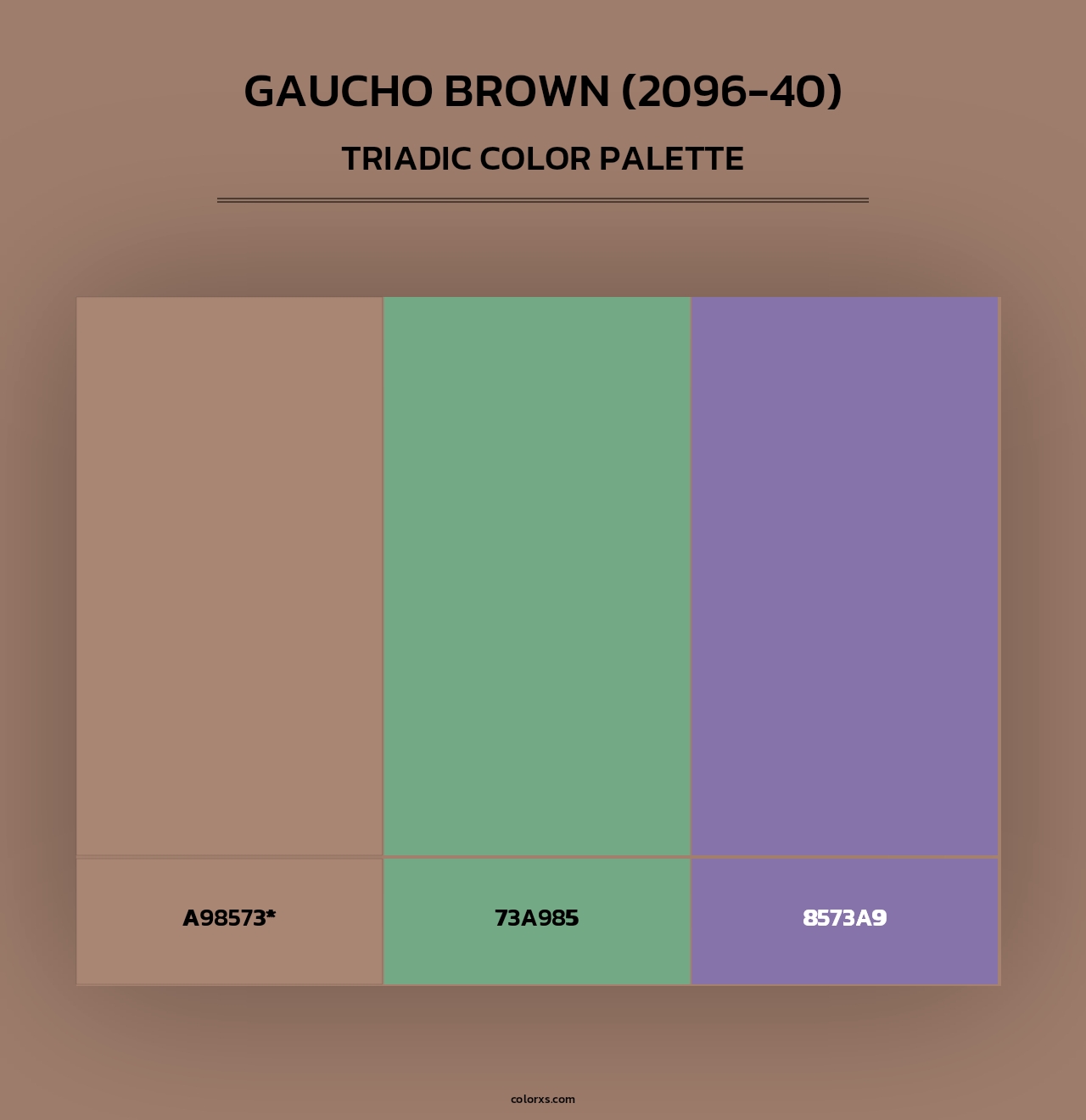 Gaucho Brown (2096-40) - Triadic Color Palette