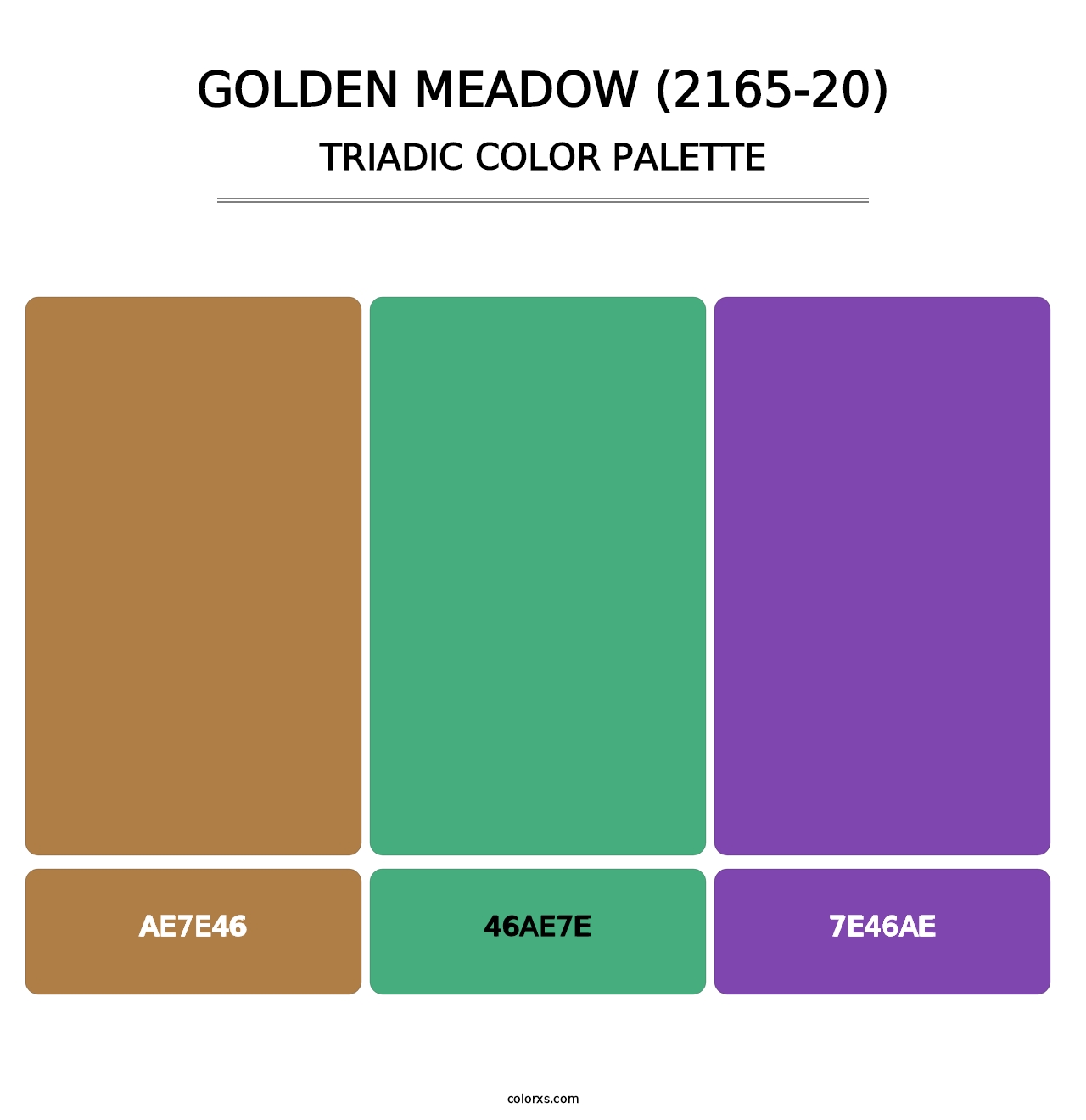 Golden Meadow (2165-20) - Triadic Color Palette