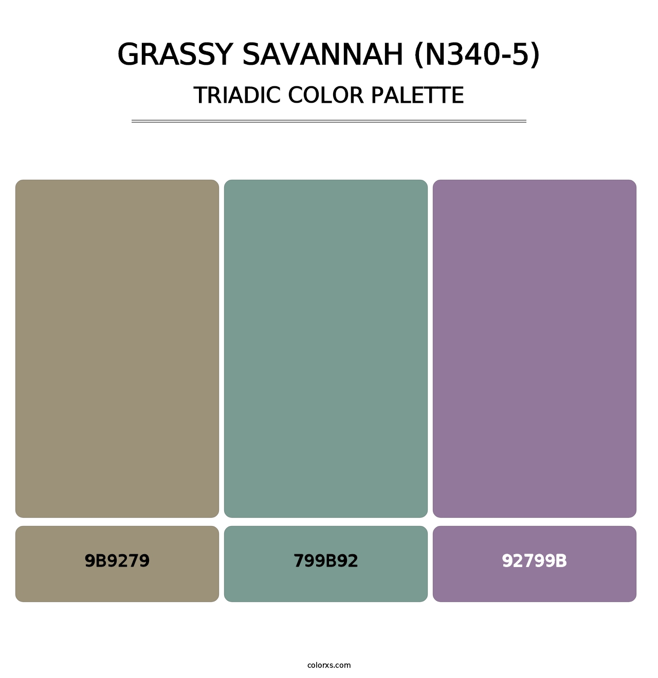 Grassy Savannah (N340-5) - Triadic Color Palette