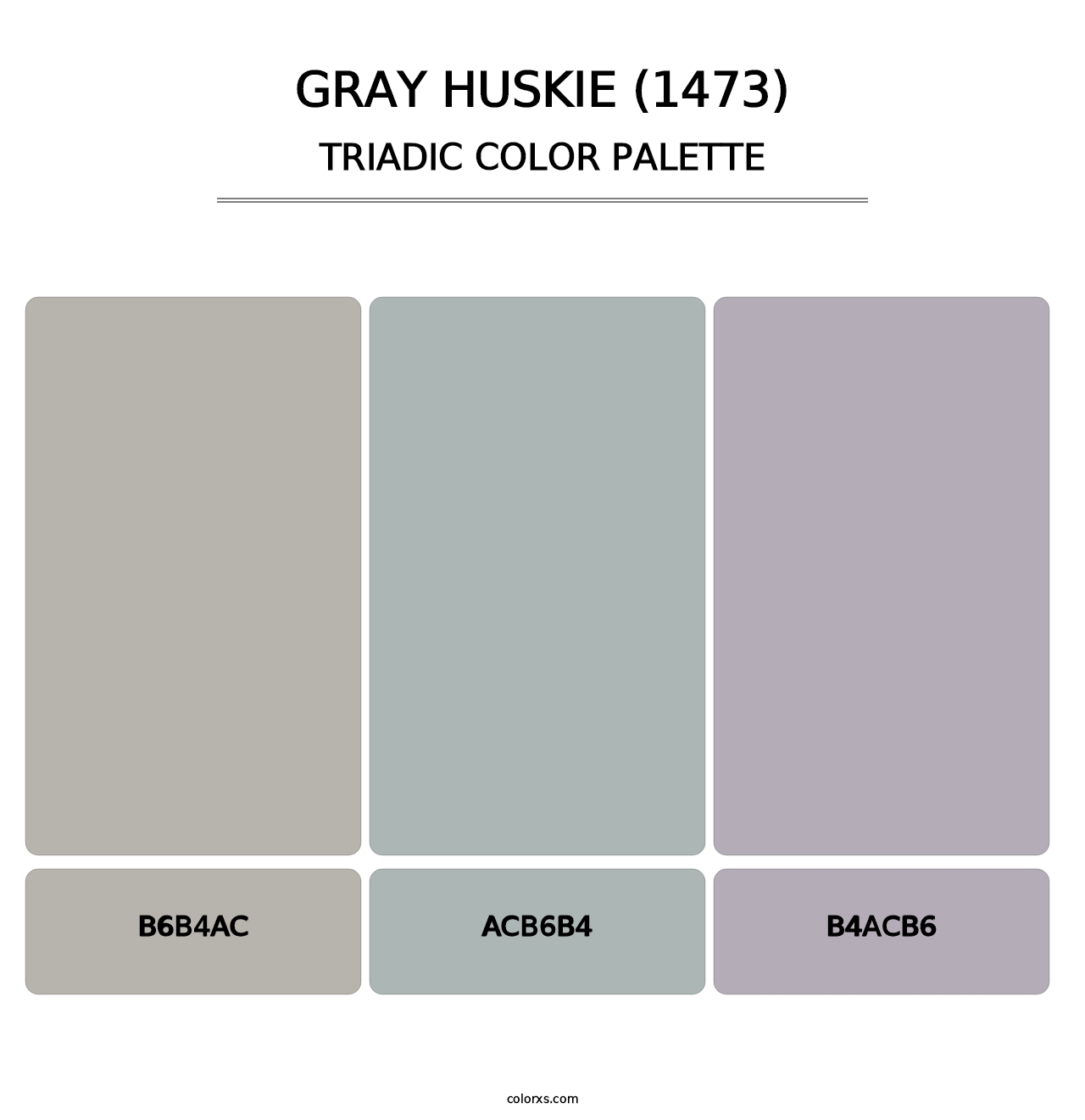 Gray Huskie (1473) - Triadic Color Palette