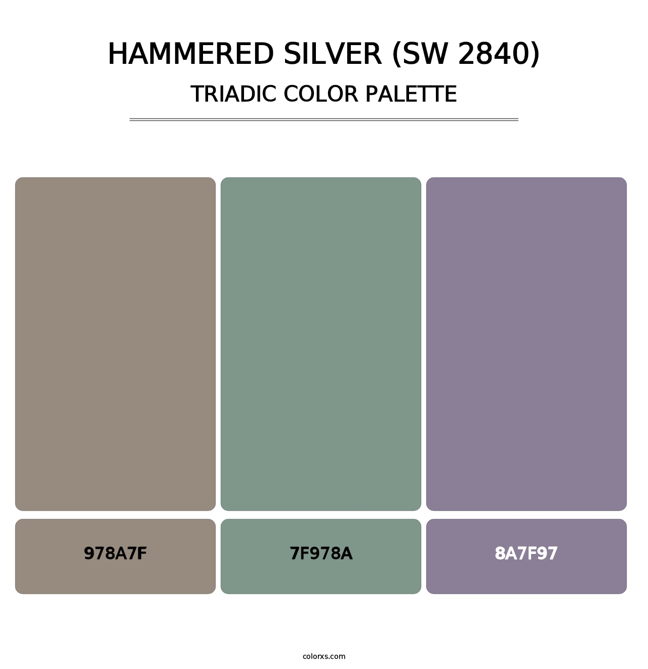 Hammered Silver (SW 2840) - Triadic Color Palette