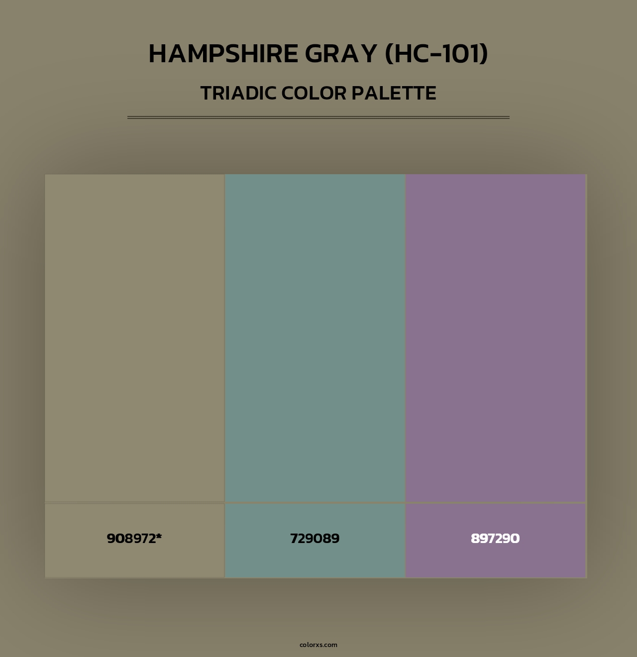 Hampshire Gray (HC-101) - Triadic Color Palette