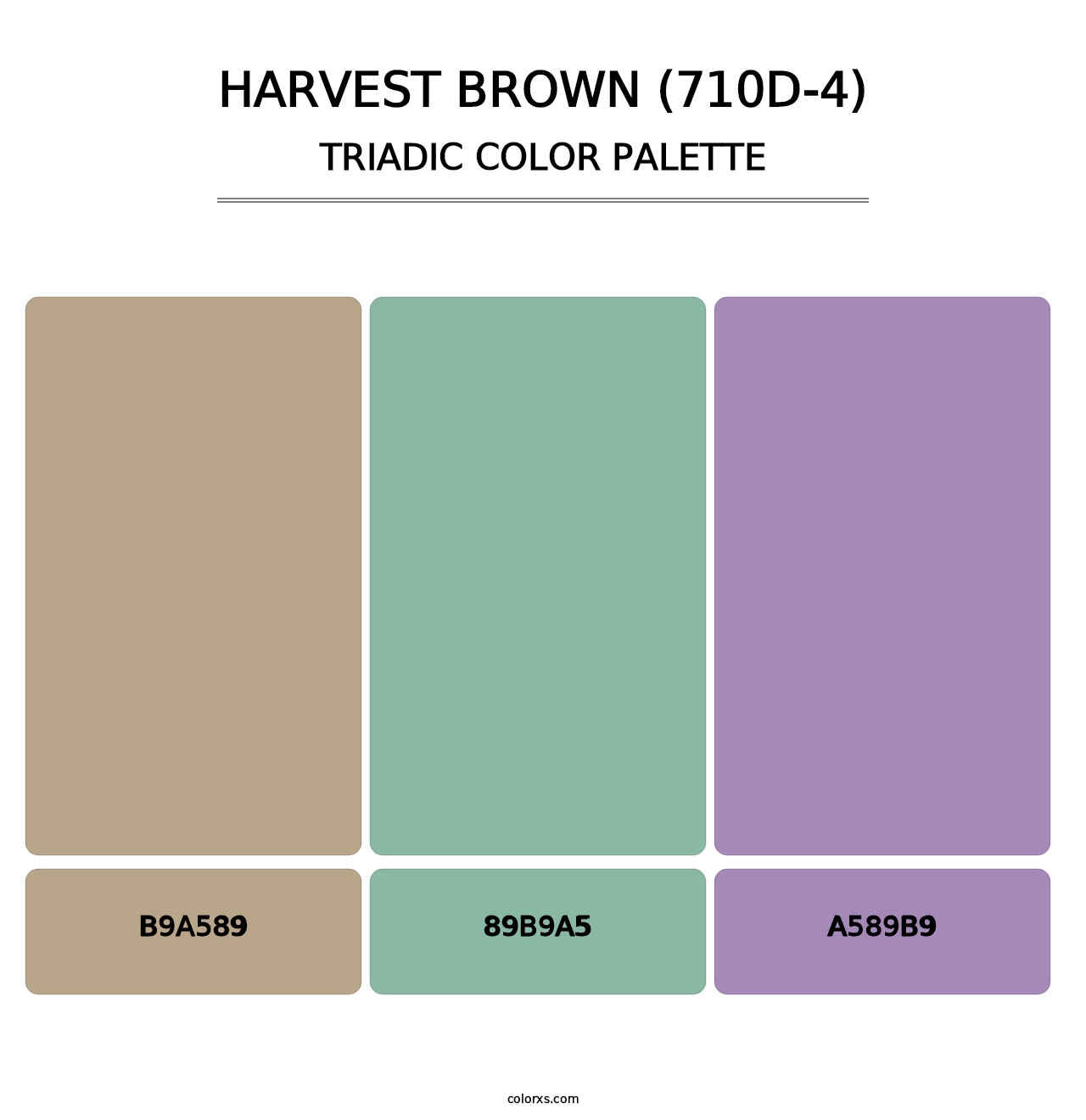 Harvest Brown (710D-4) - Triadic Color Palette