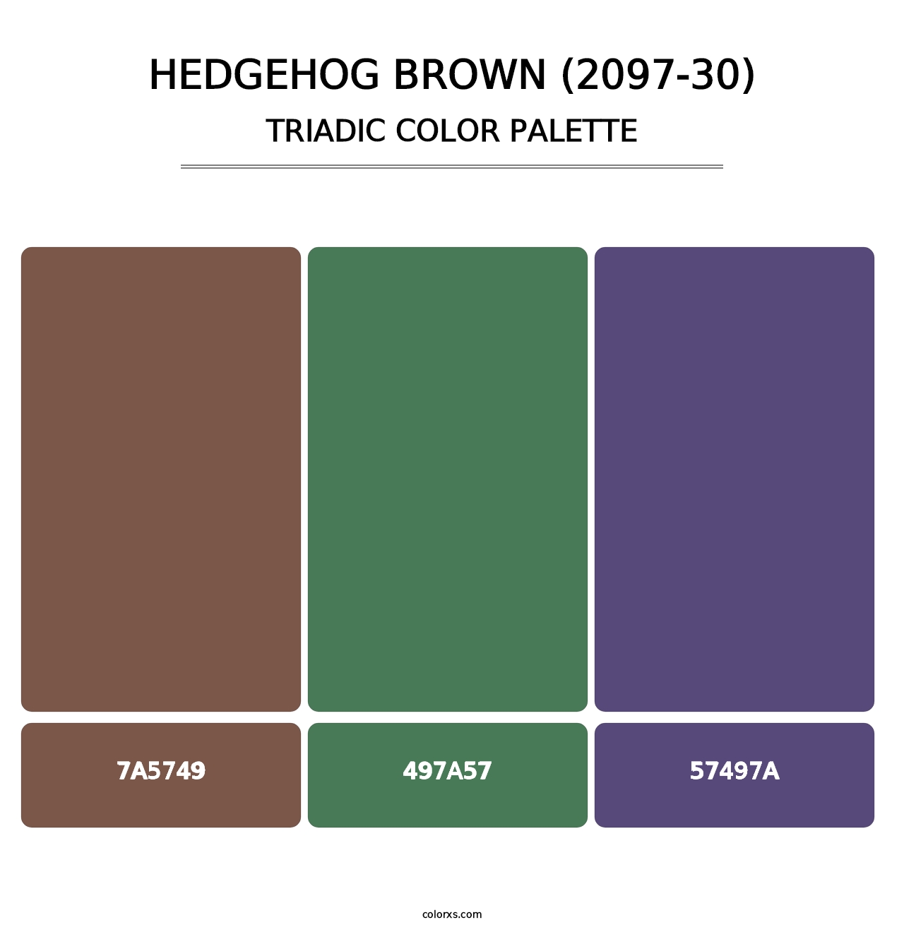 Hedgehog Brown (2097-30) - Triadic Color Palette
