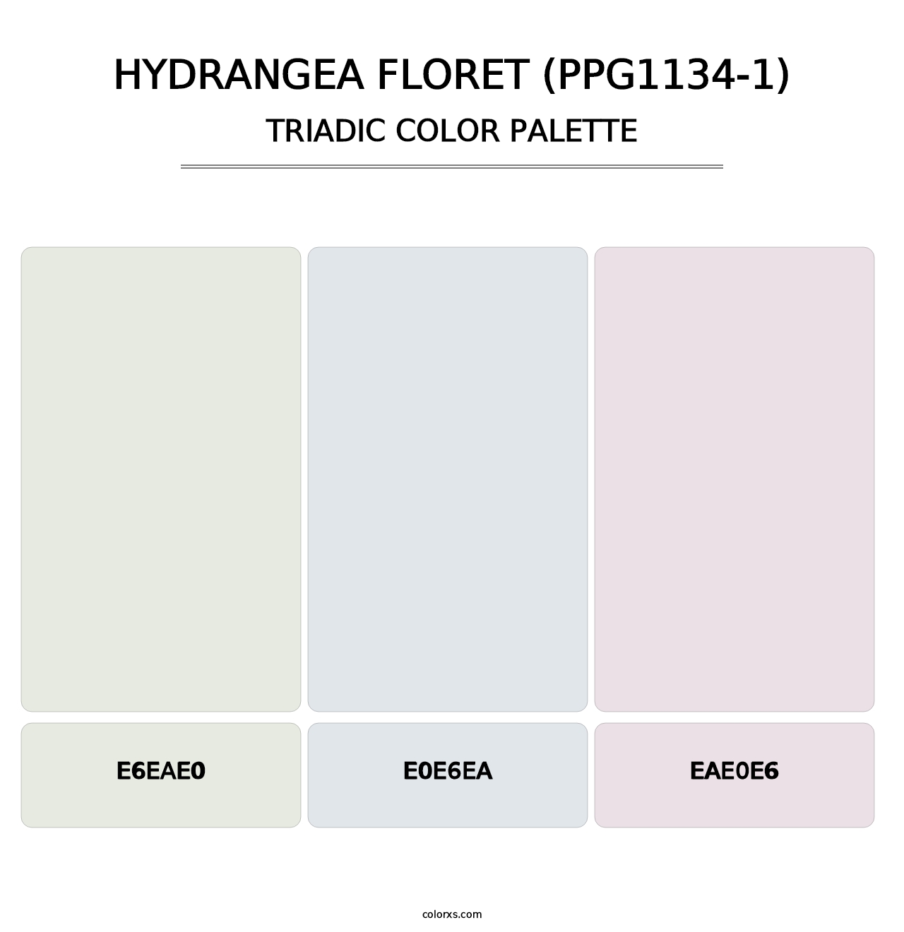 Hydrangea Floret (PPG1134-1) - Triadic Color Palette