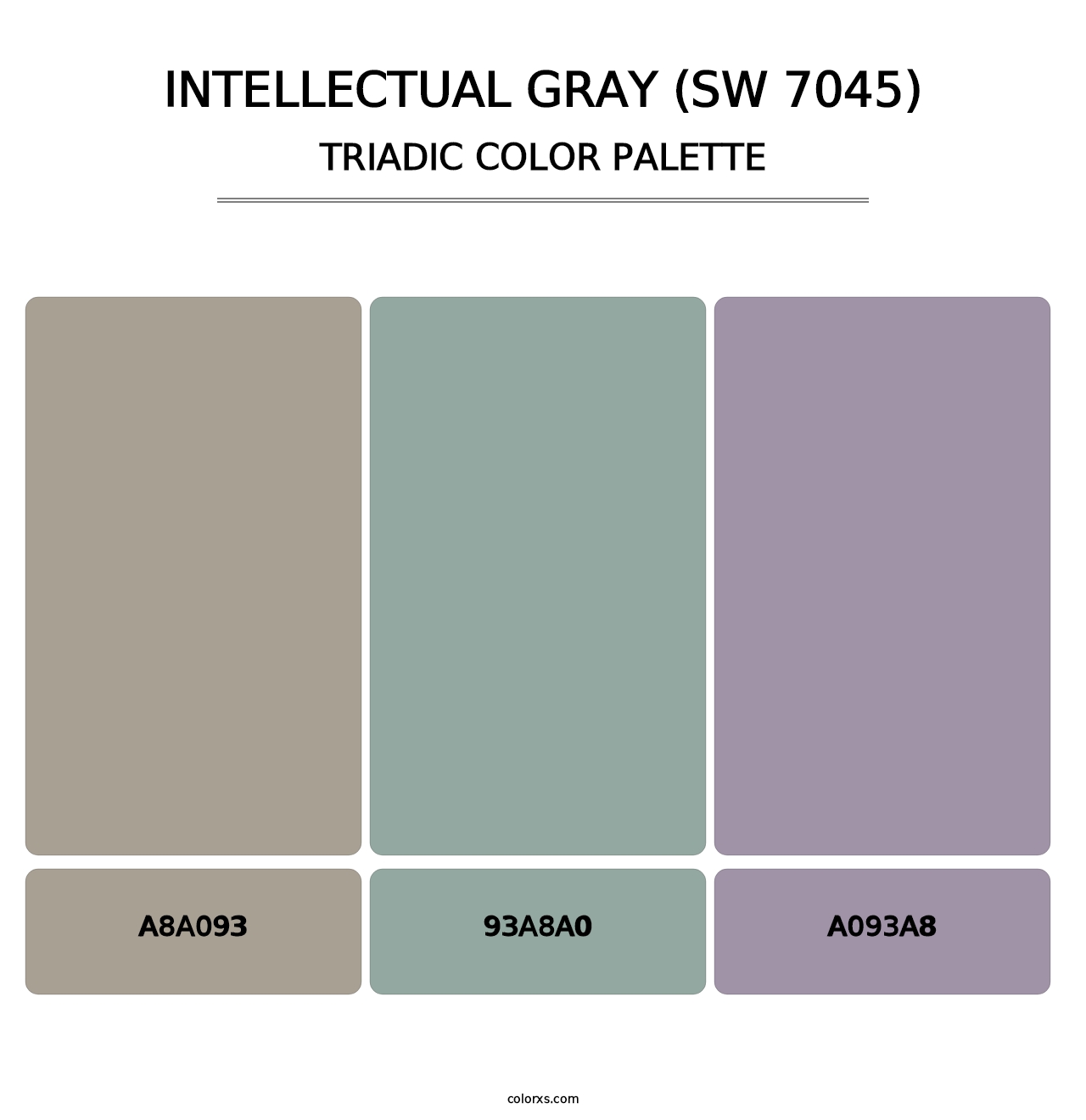 Intellectual Gray (SW 7045) - Triadic Color Palette