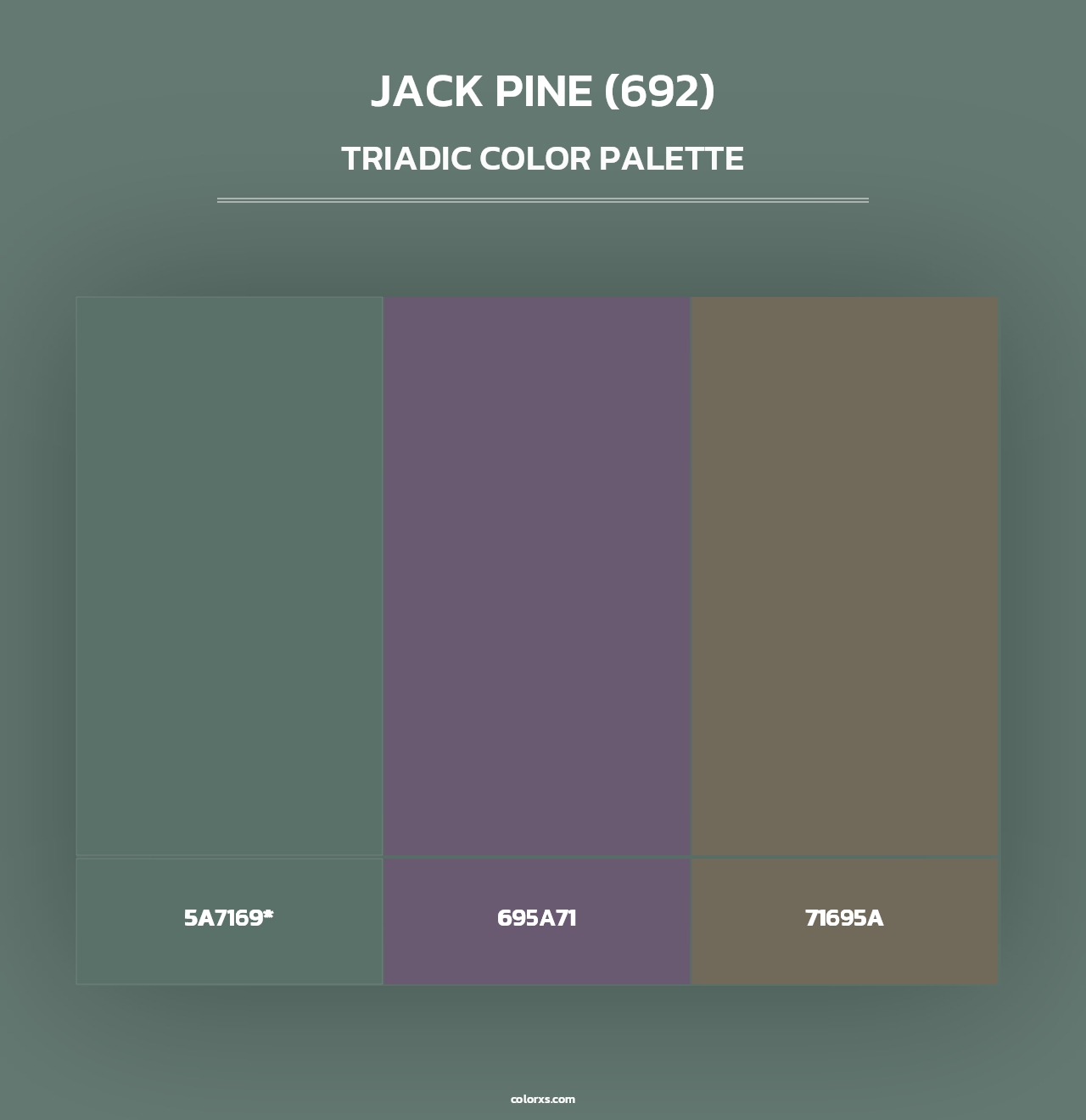 Jack Pine (692) - Triadic Color Palette