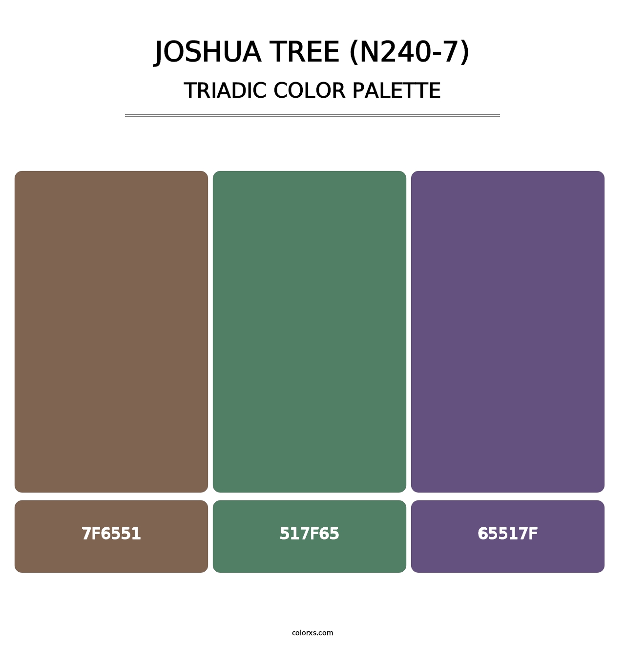 Joshua Tree (N240-7) - Triadic Color Palette
