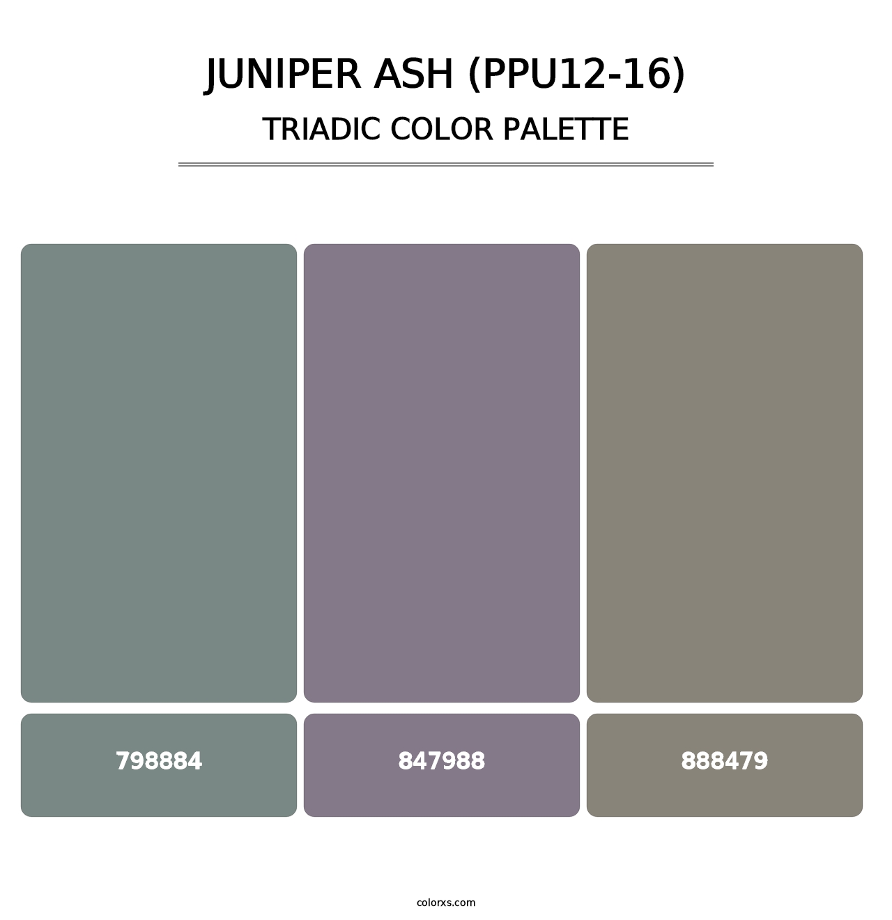 Juniper Ash (PPU12-16) - Triadic Color Palette