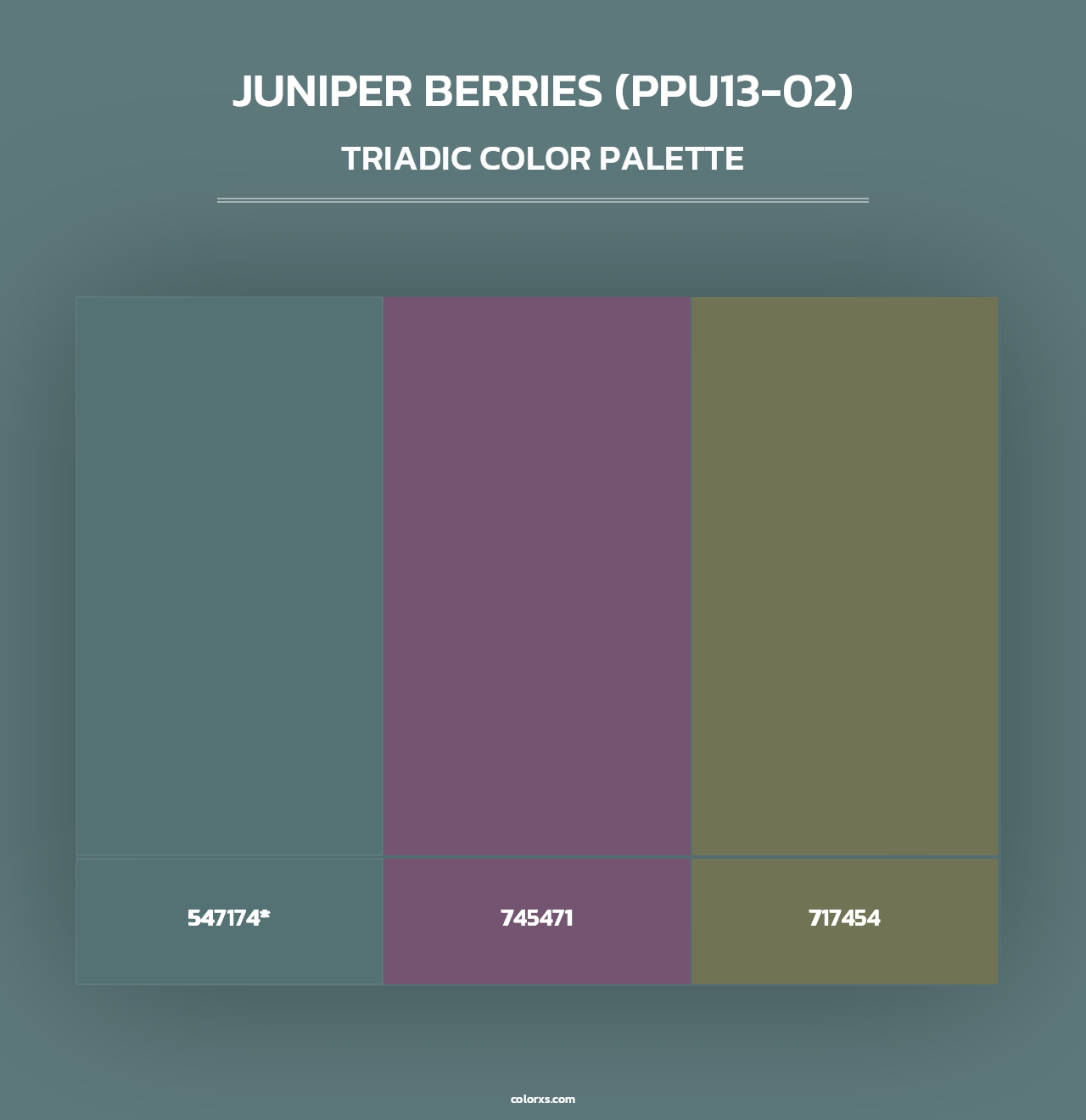 Juniper Berries (PPU13-02) - Triadic Color Palette