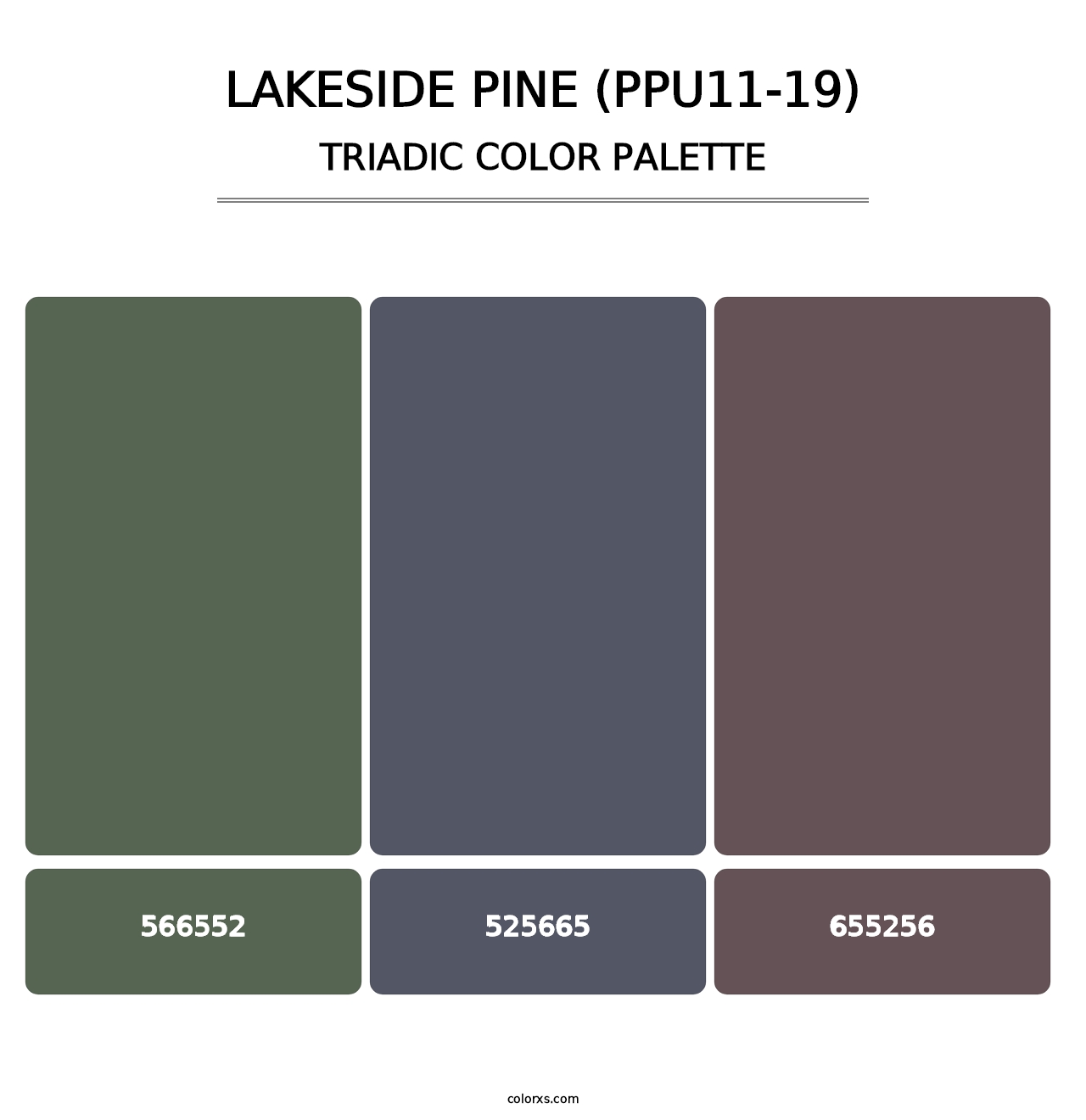 Lakeside Pine (PPU11-19) - Triadic Color Palette