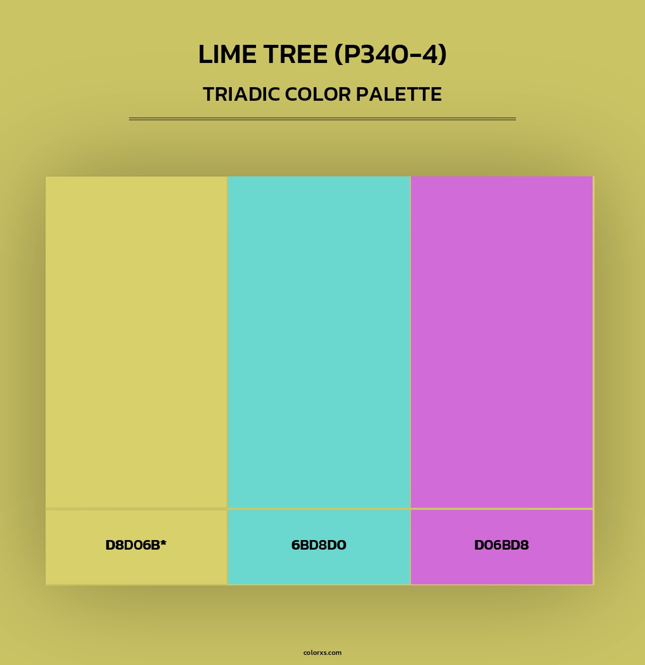 Lime Tree (P340-4) - Triadic Color Palette