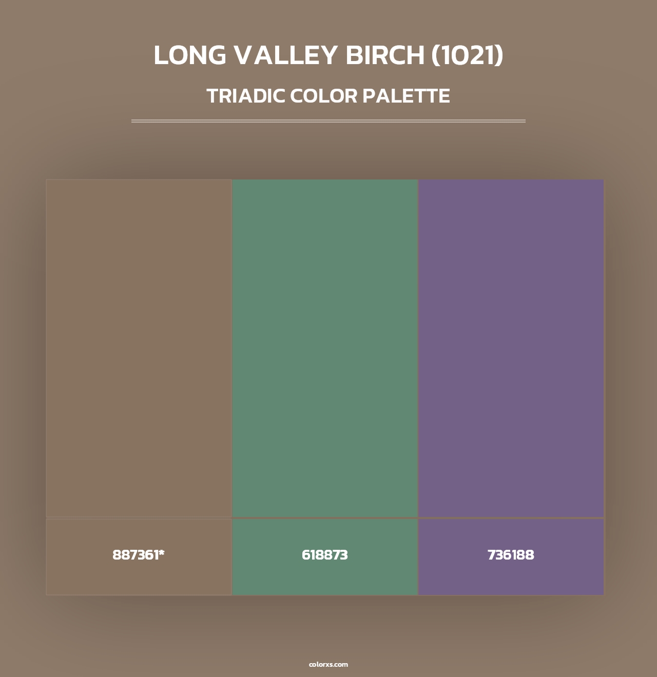 Long Valley Birch (1021) - Triadic Color Palette