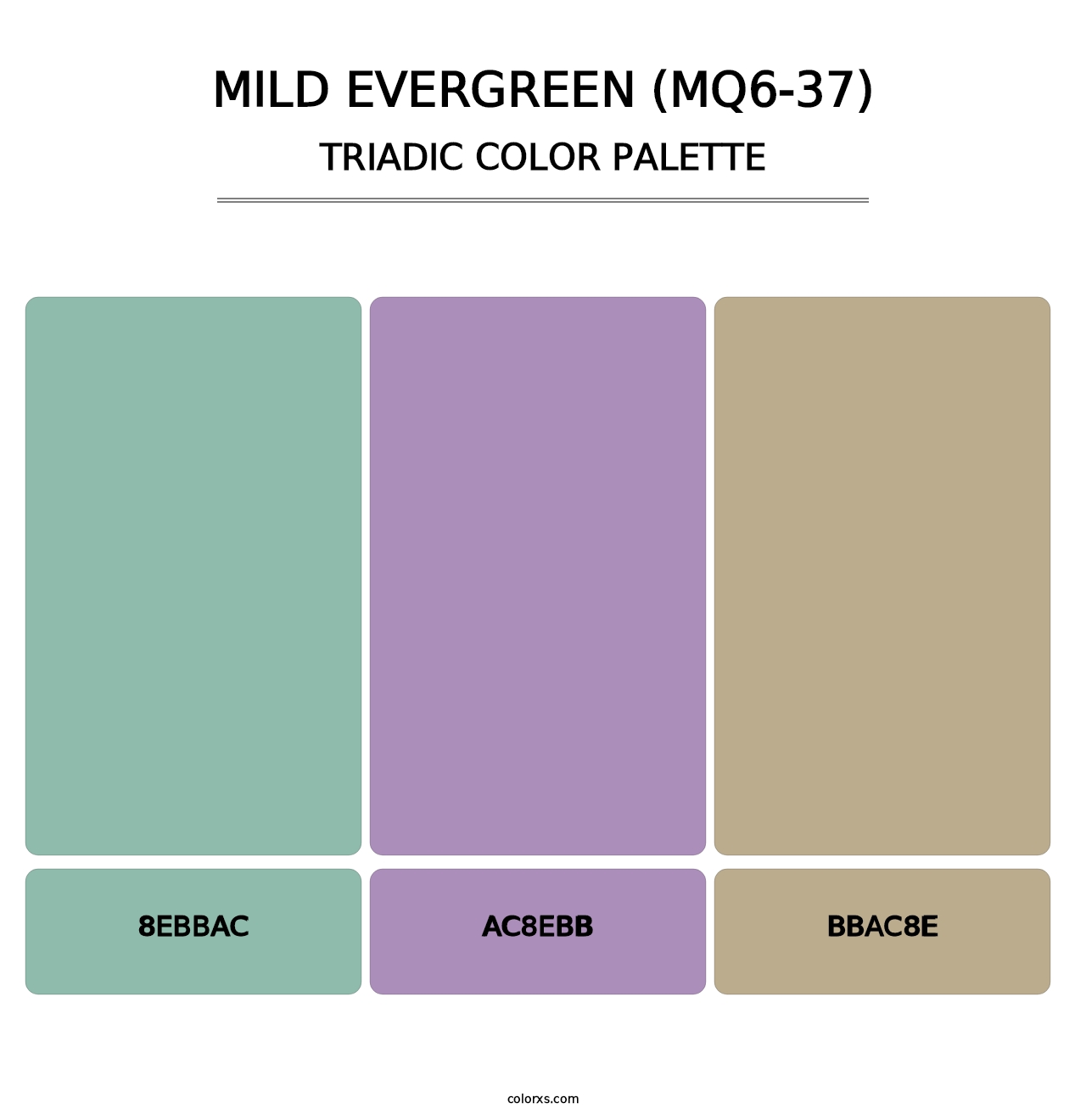 Mild Evergreen (MQ6-37) - Triadic Color Palette