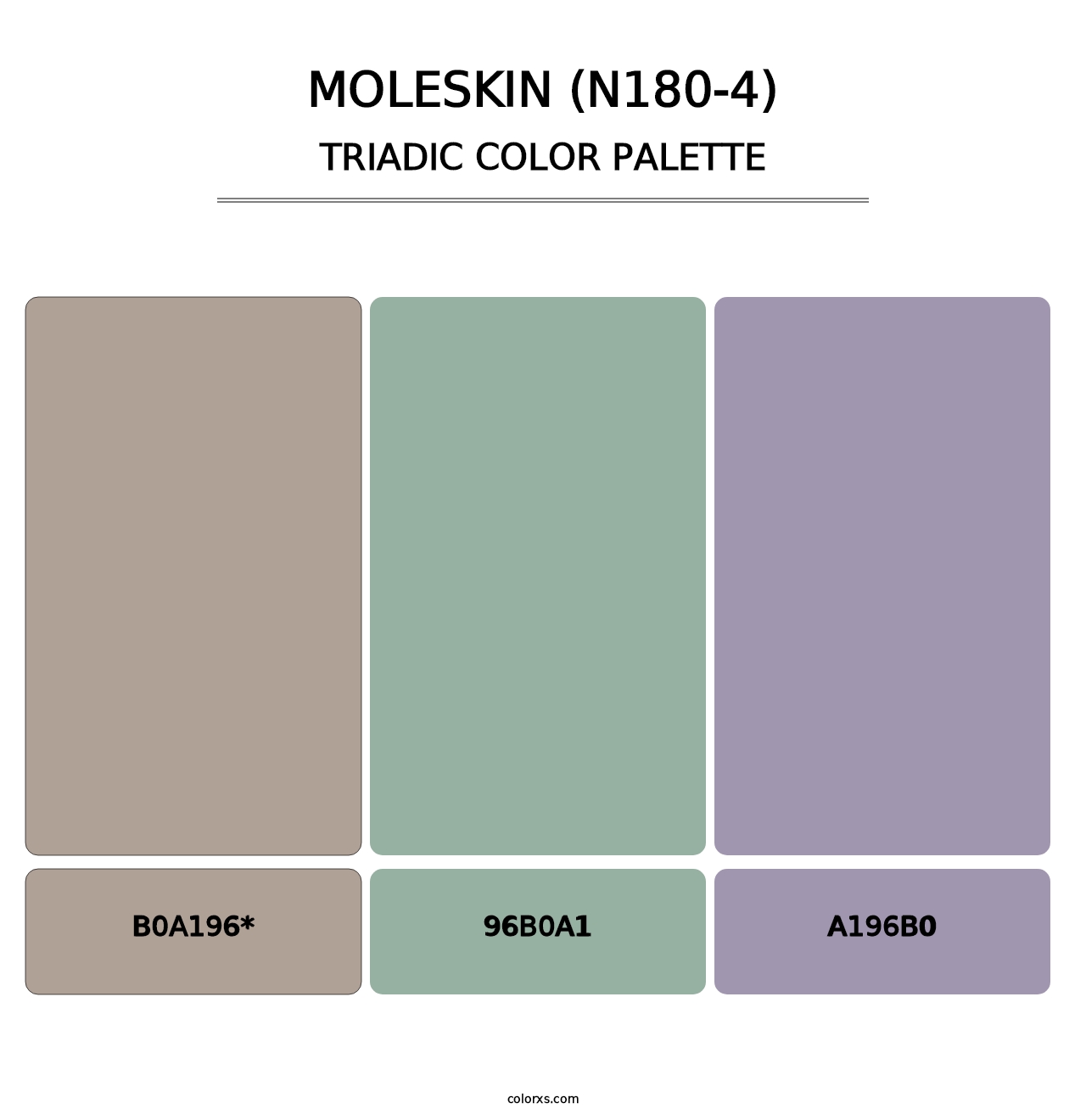 Moleskin (N180-4) - Triadic Color Palette